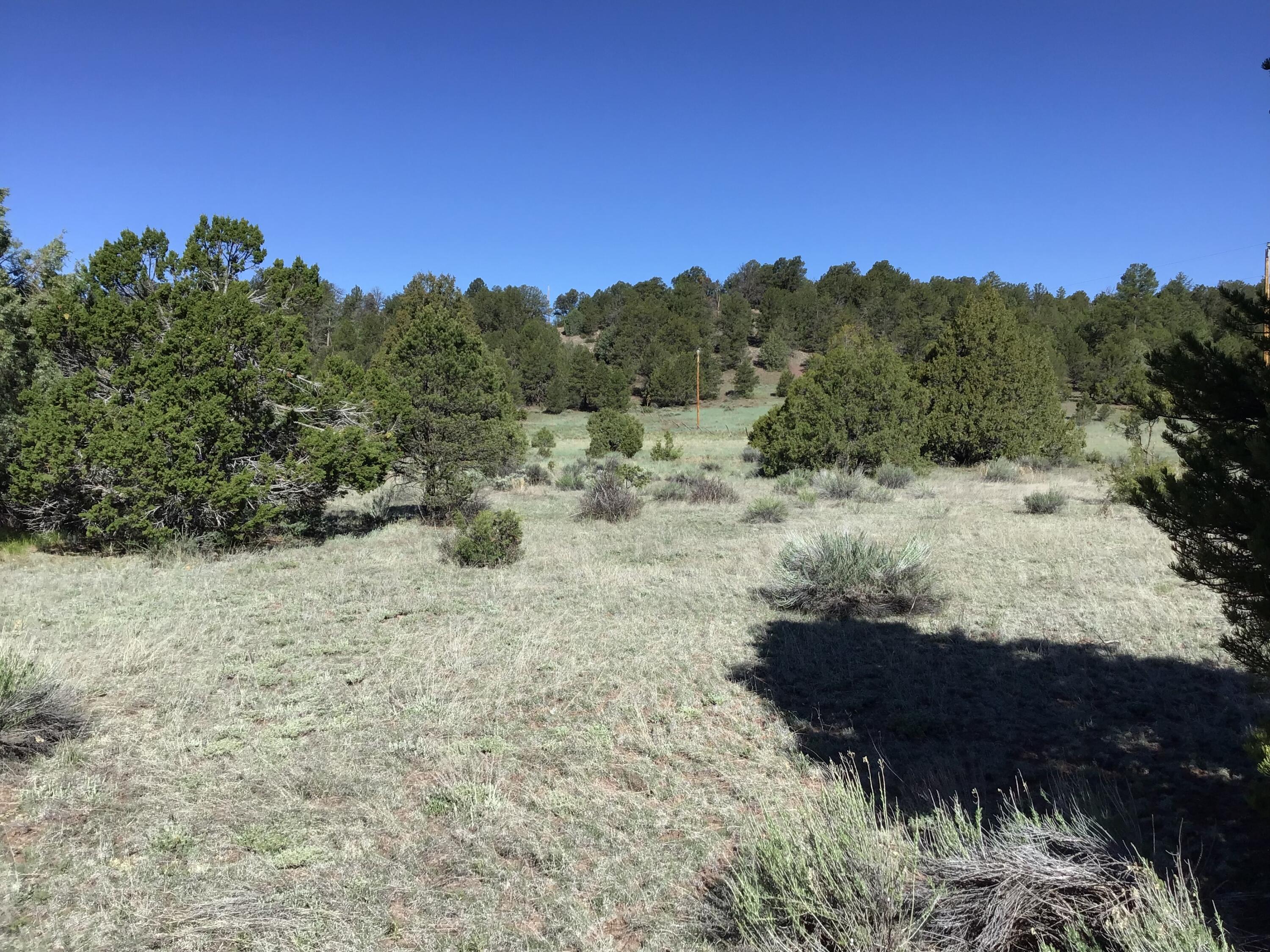 Lot 2 East Elk Road, Ramah, New Mexico image 5