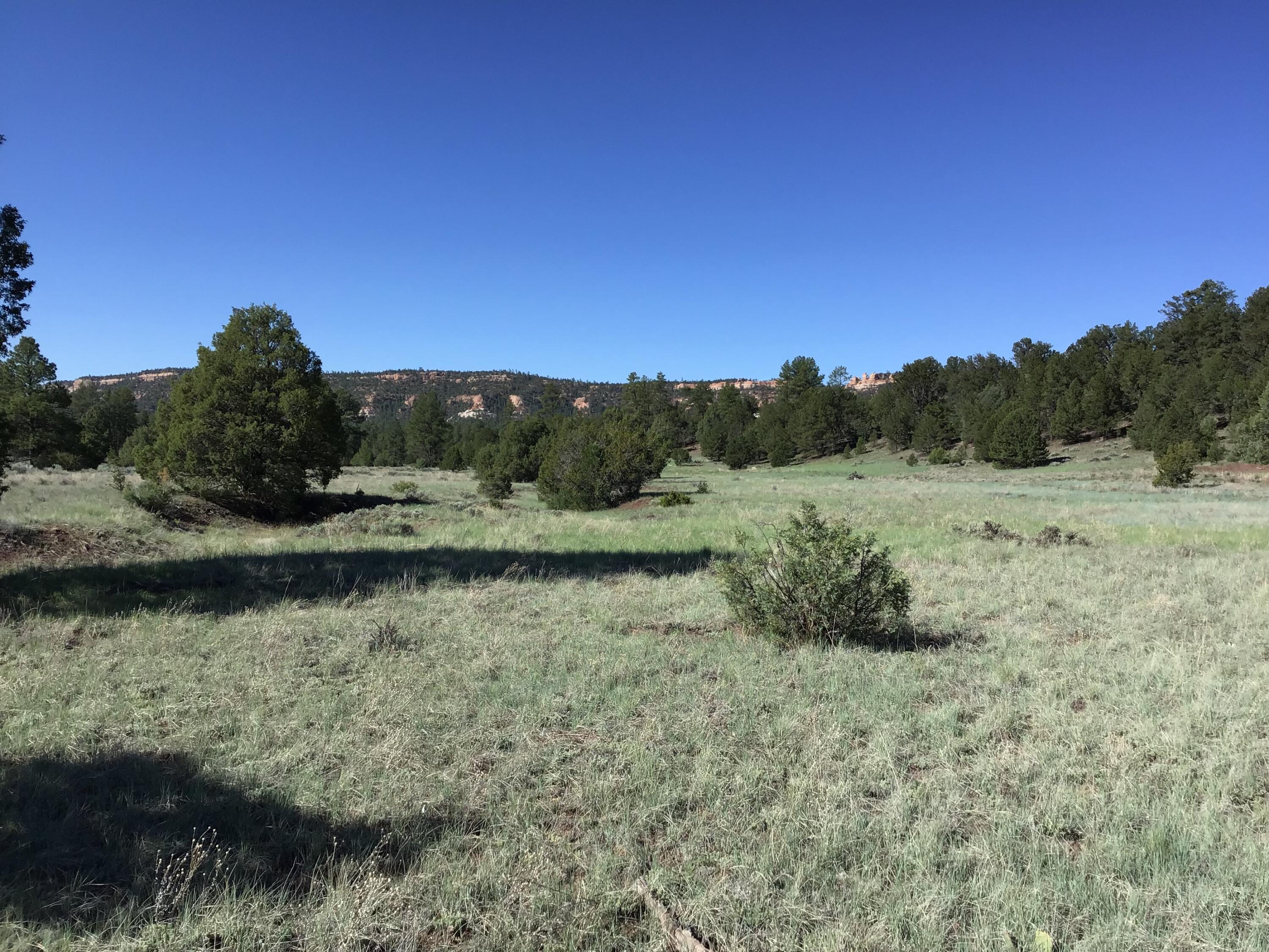 Lot 2 East Elk Road, Ramah, New Mexico image 10