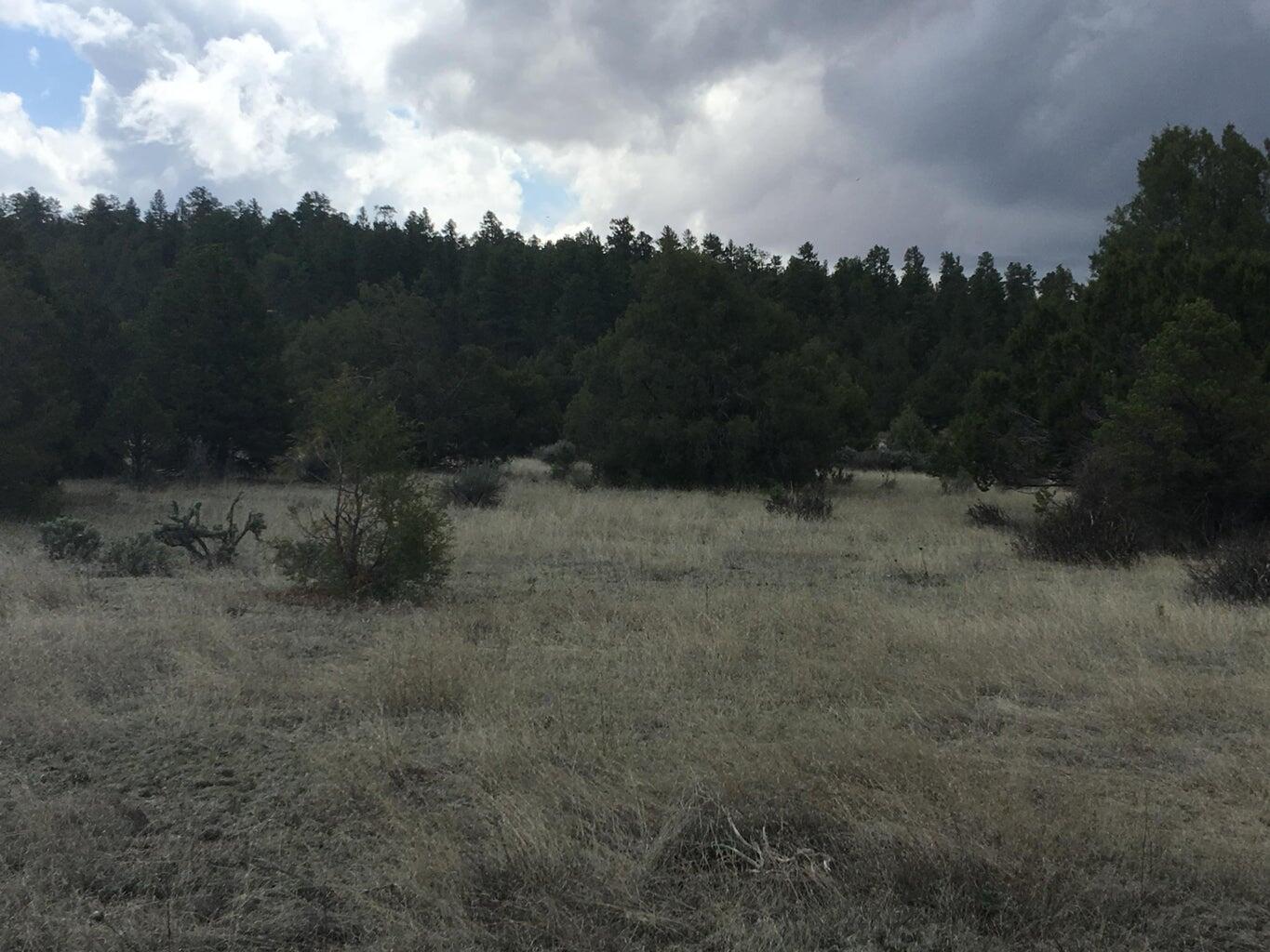 Lot 2 East Elk Road, Ramah, New Mexico image 47