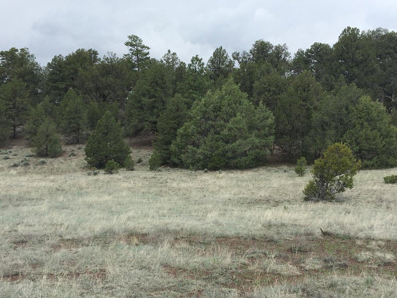 Lot 2 East Elk Road, Ramah, New Mexico image 36