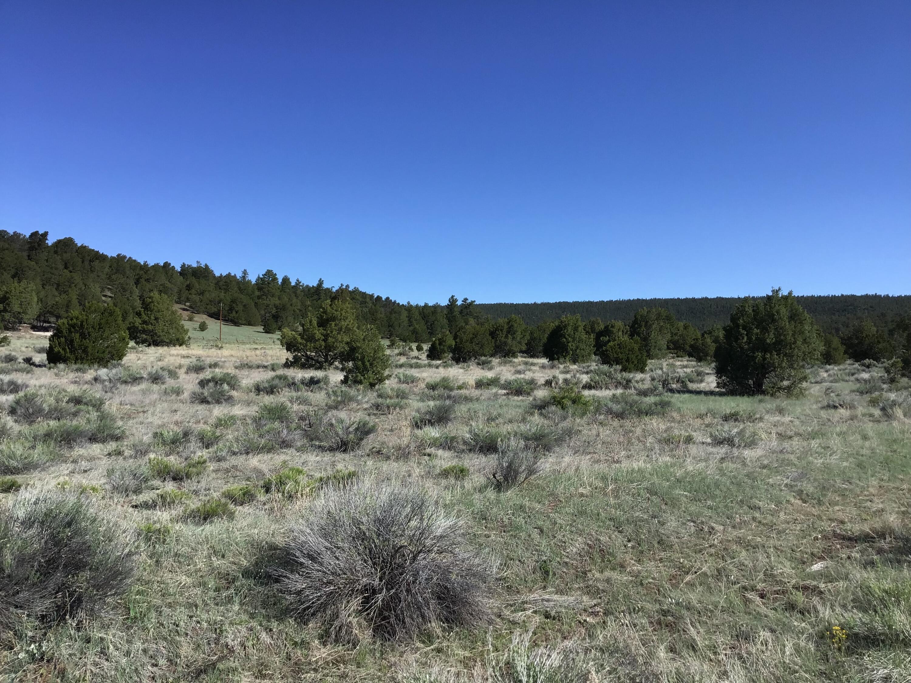 Lot 2 East Elk Road, Ramah, New Mexico image 20