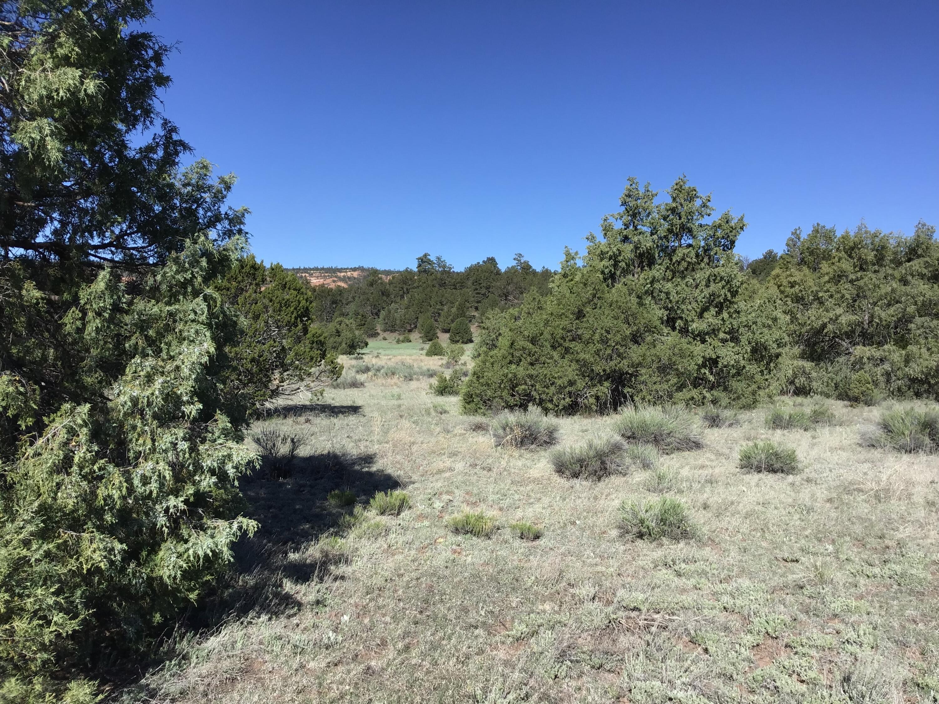 Lot 2 East Elk Road, Ramah, New Mexico image 6