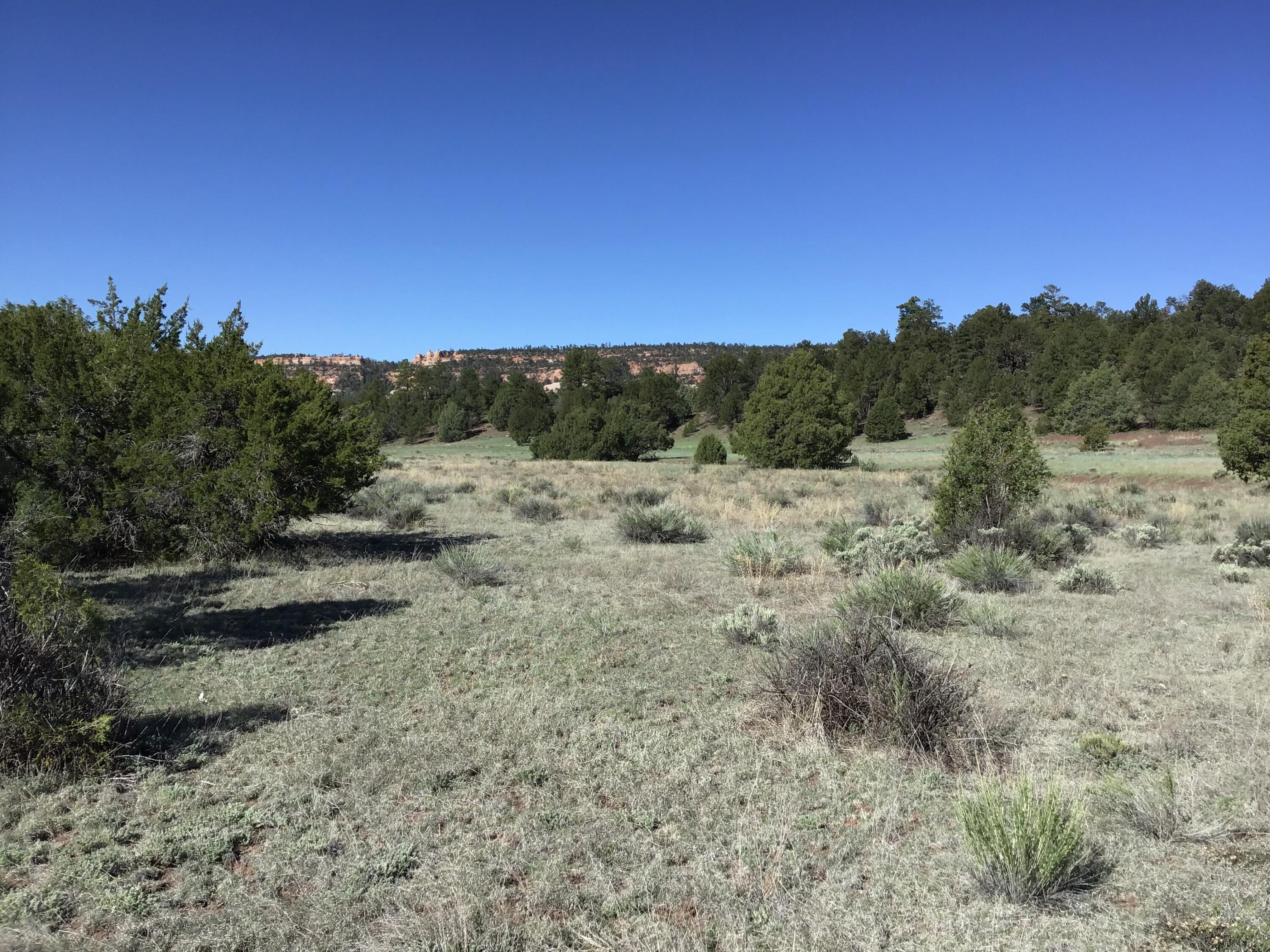 Lot 2 East Elk Road, Ramah, New Mexico image 9