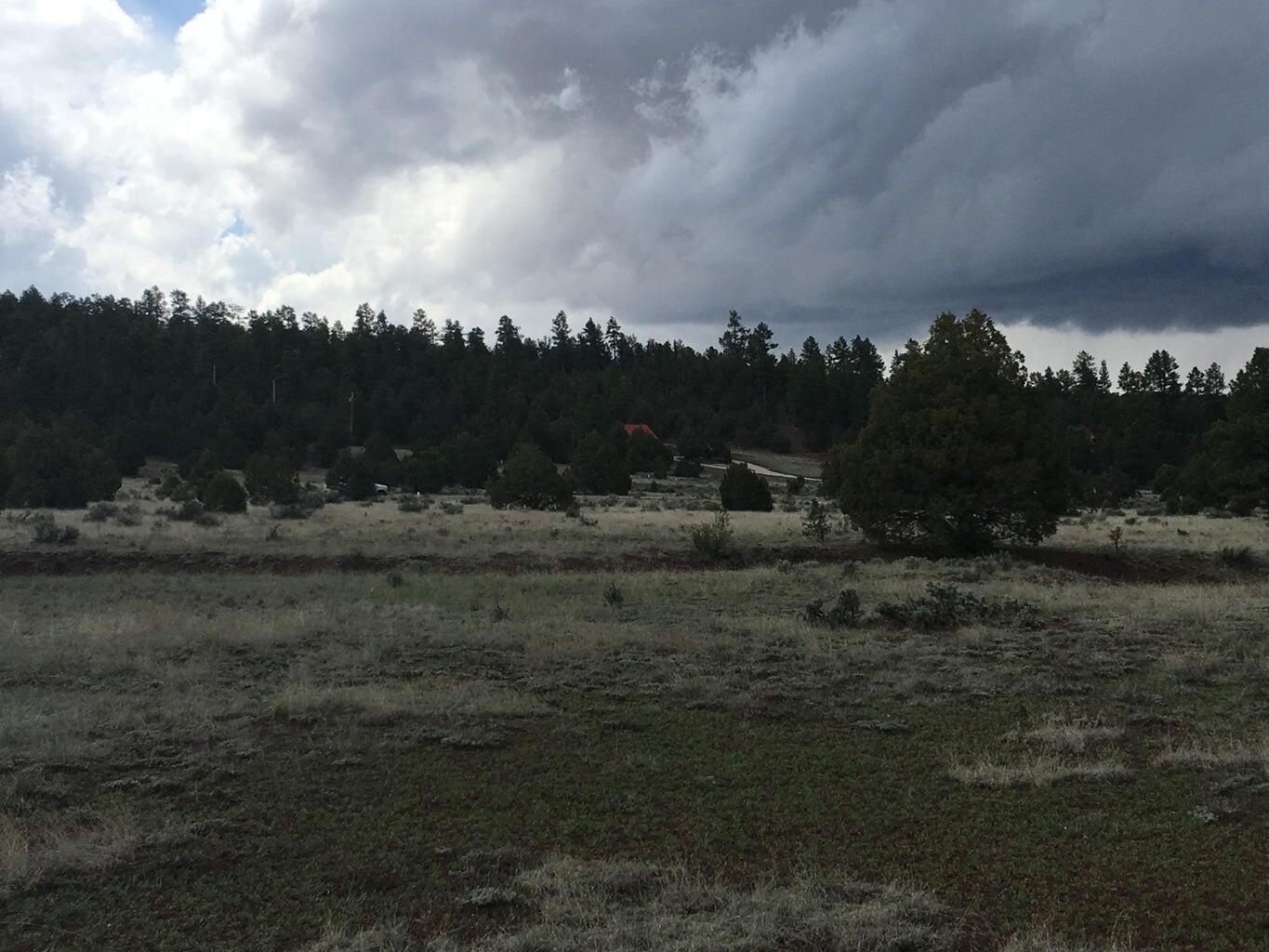 Lot 2 East Elk Road, Ramah, New Mexico image 44