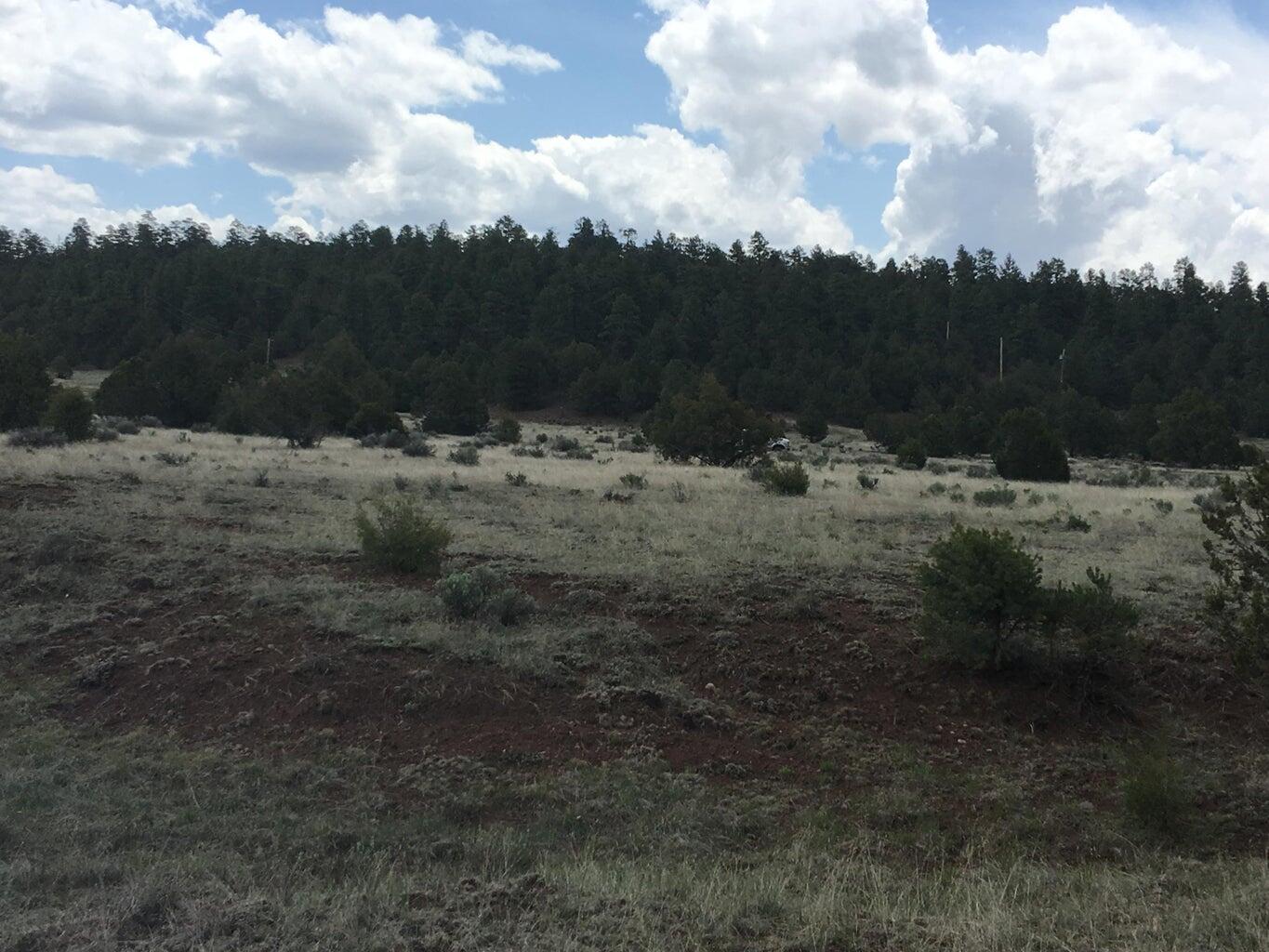 Lot 2 East Elk Road, Ramah, New Mexico image 39