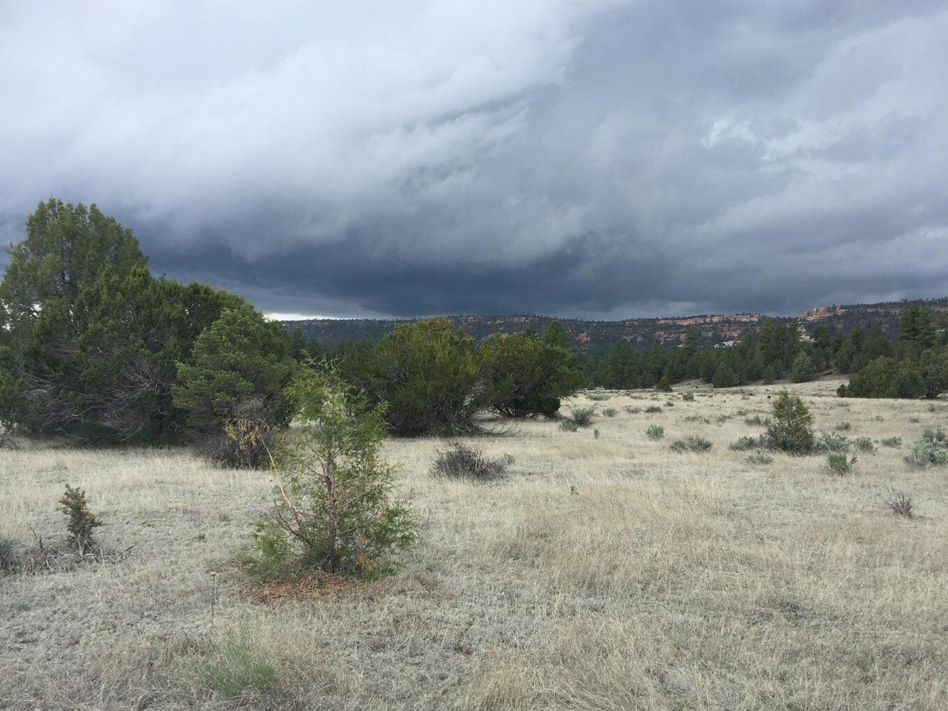 Lot 2 East Elk Road, Ramah, New Mexico image 49