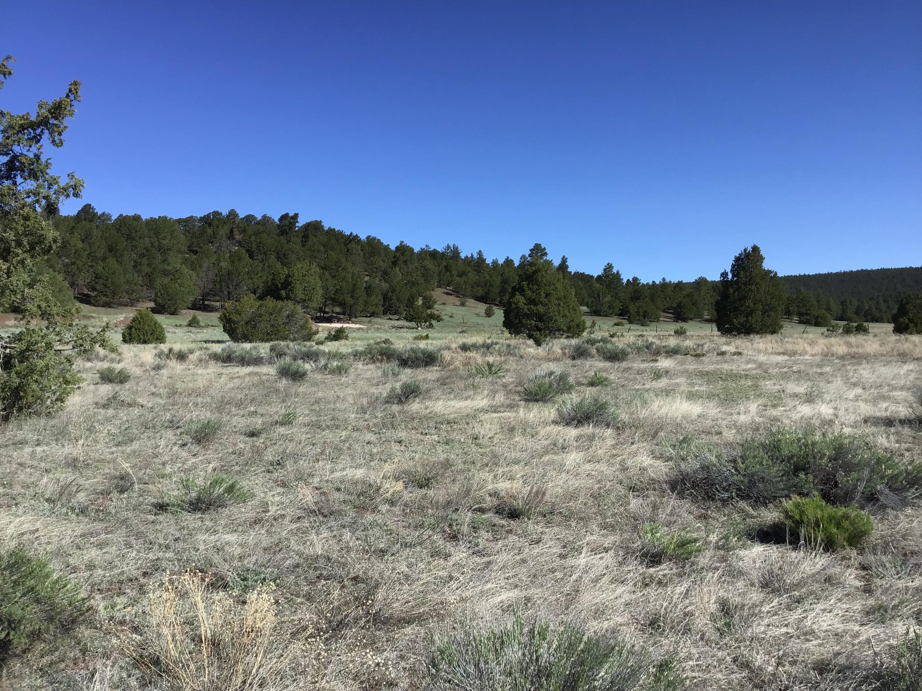 Lot 2 East Elk Road, Ramah, New Mexico image 22