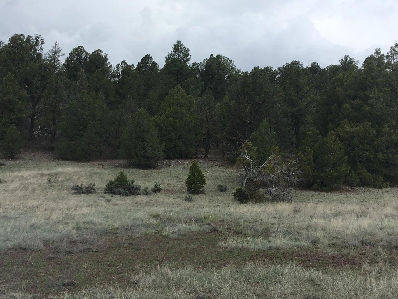 Lot 2 East Elk Road, Ramah, New Mexico image 35