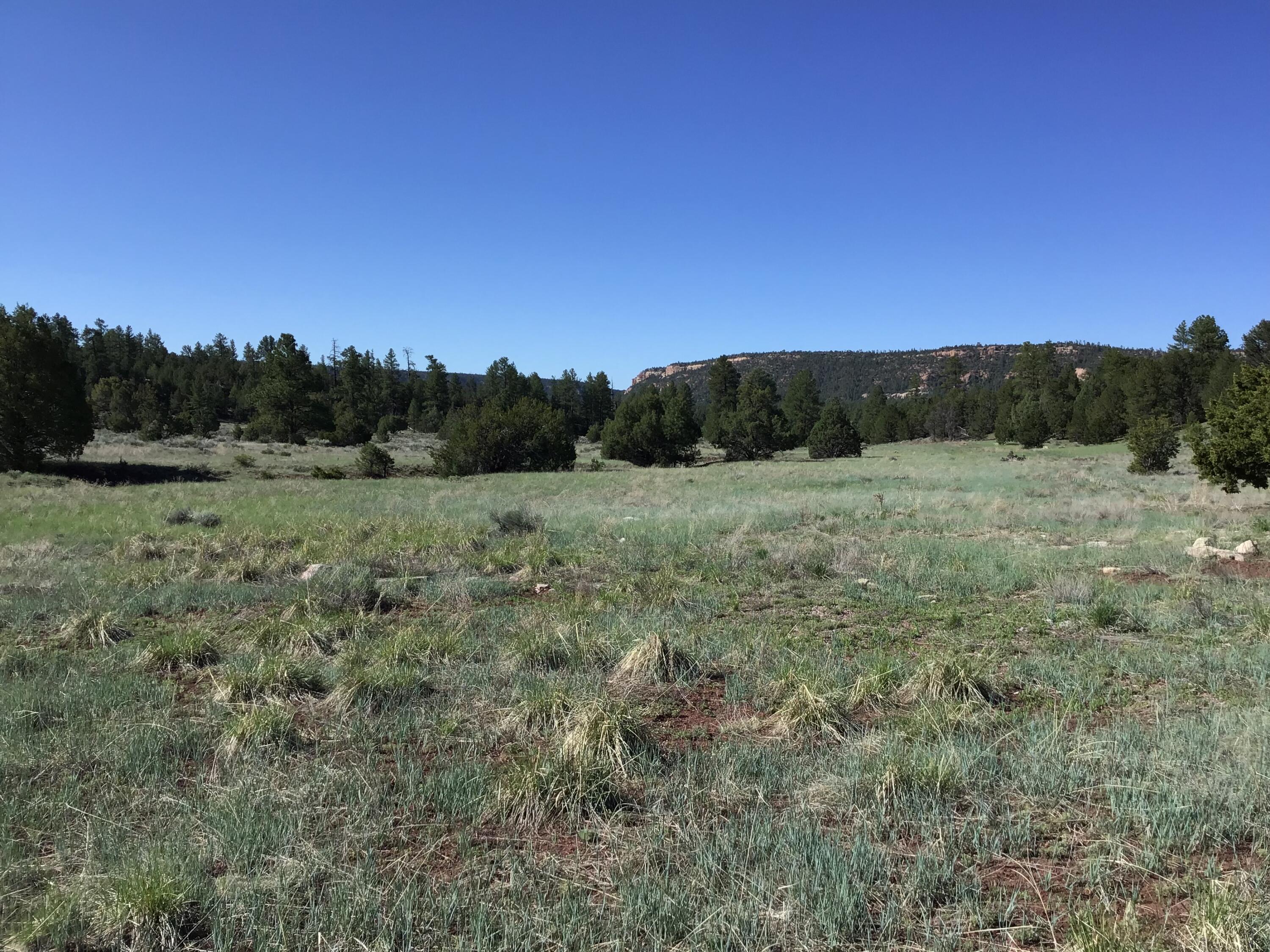 Lot 2 East Elk Road, Ramah, New Mexico image 14