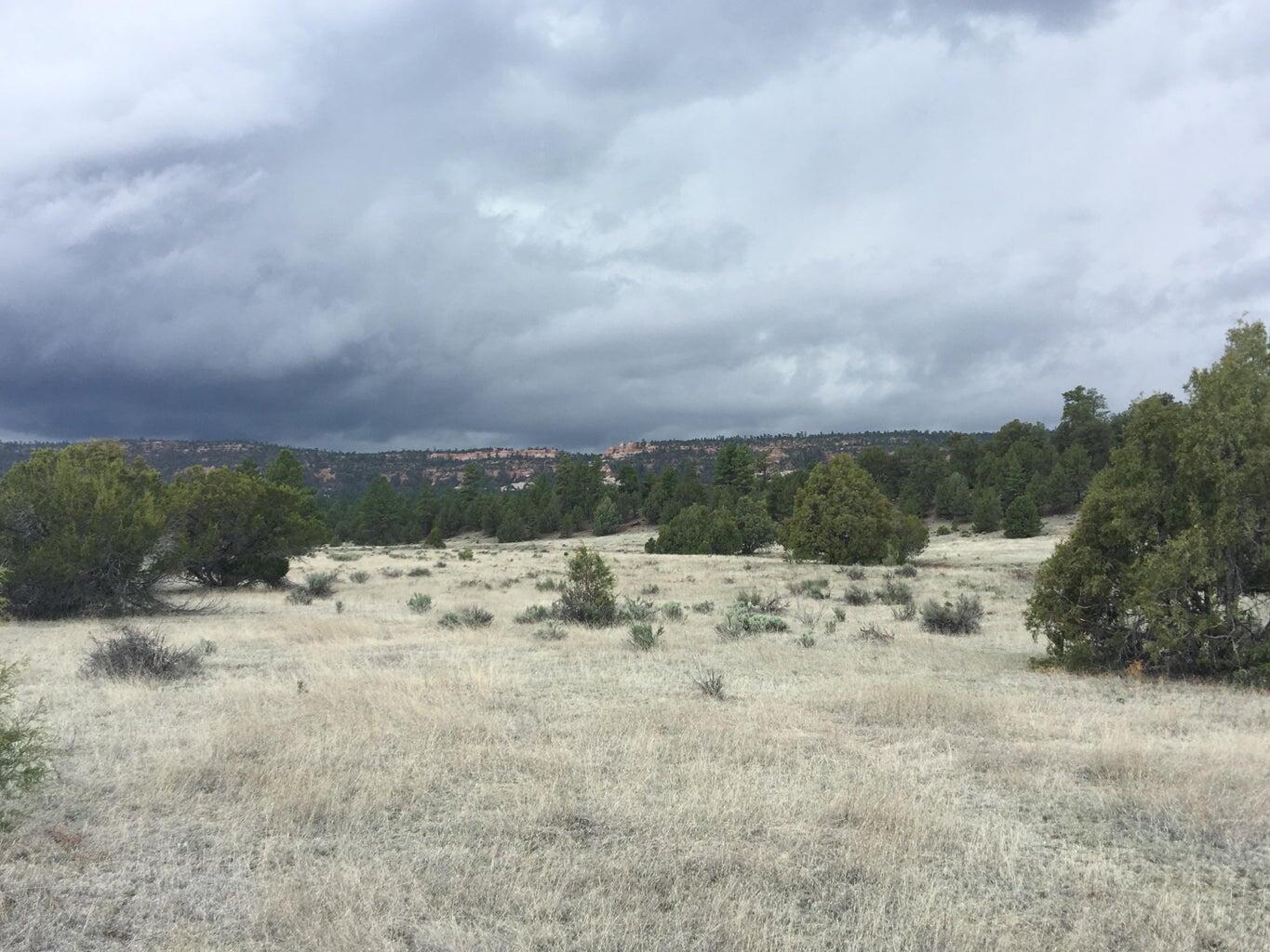 Lot 2 East Elk Road, Ramah, New Mexico image 48