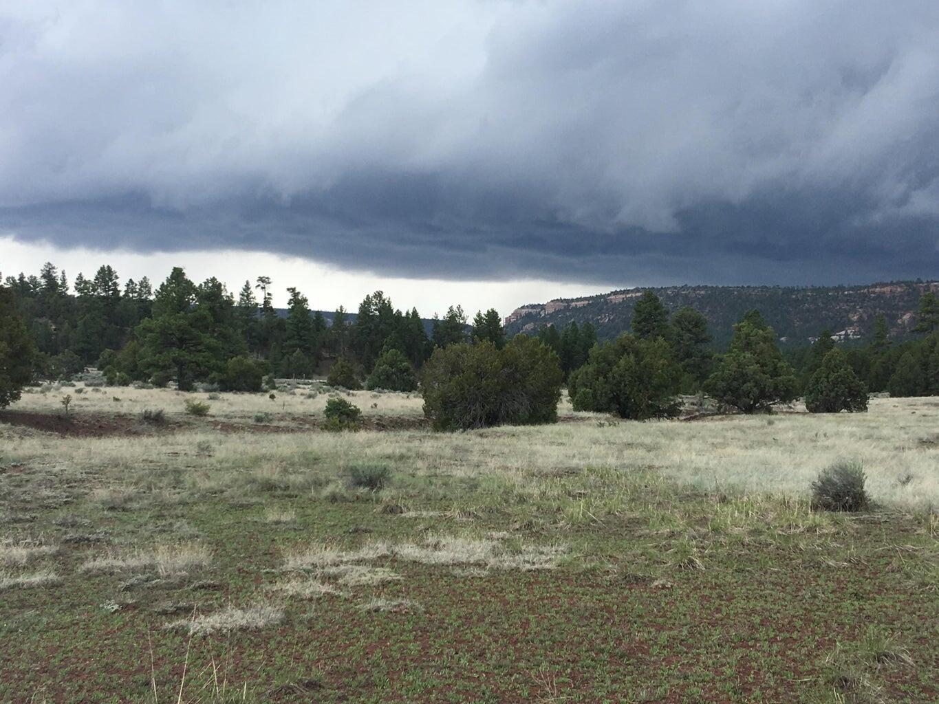 Lot 2 East Elk Road, Ramah, New Mexico image 43