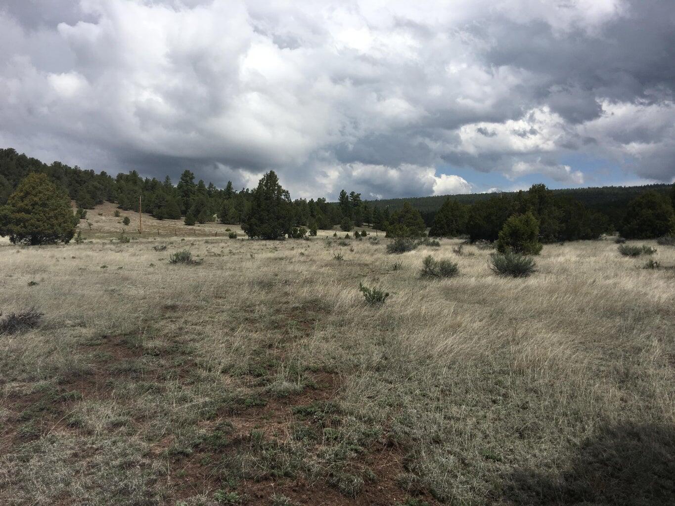 Lot 2 East Elk Road, Ramah, New Mexico image 30