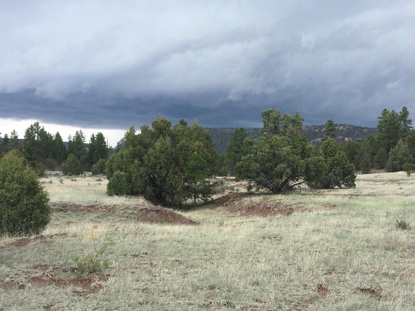 Lot 2 East Elk Road, Ramah, New Mexico image 38