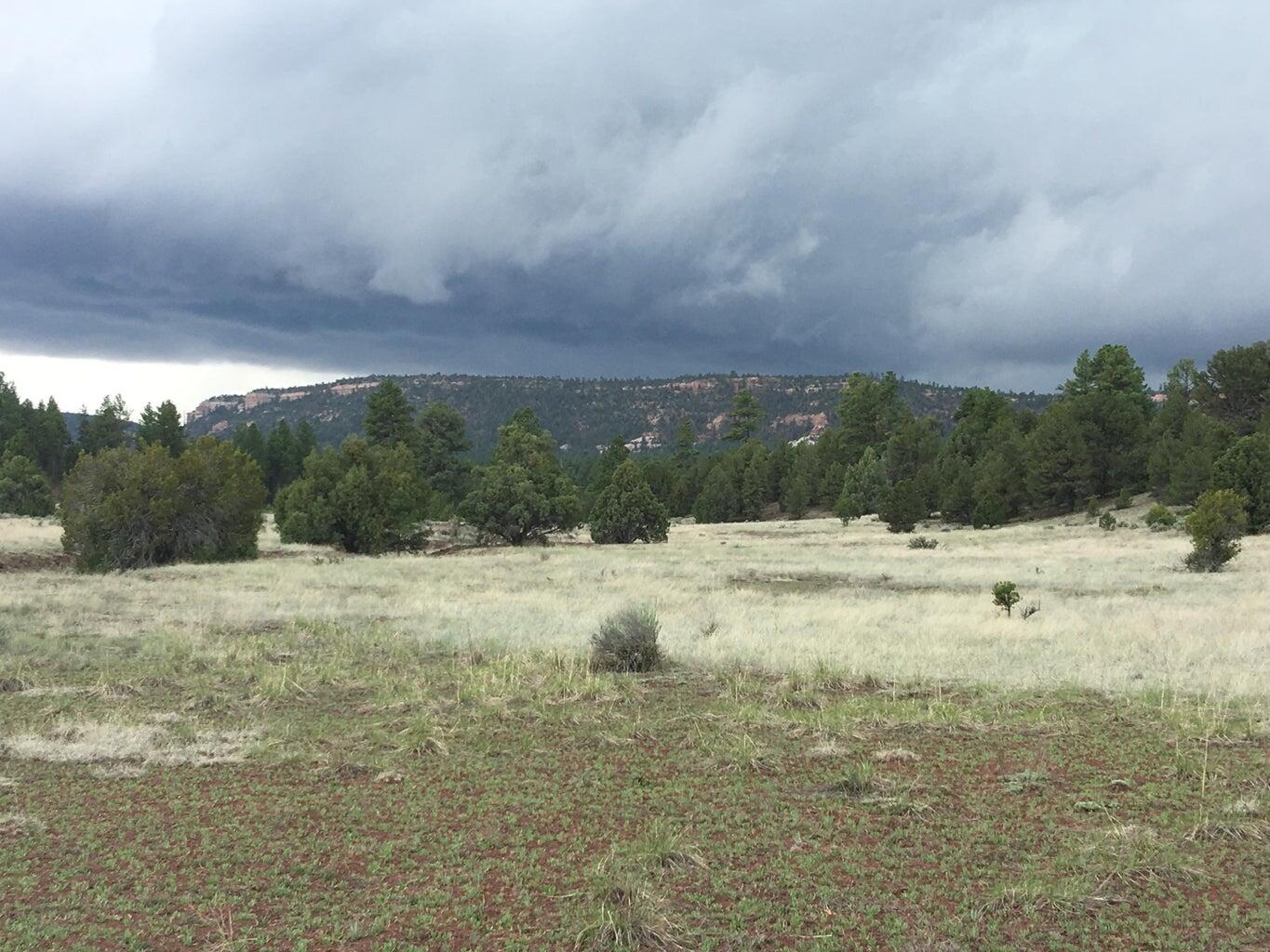 Lot 2 East Elk Road, Ramah, New Mexico image 42