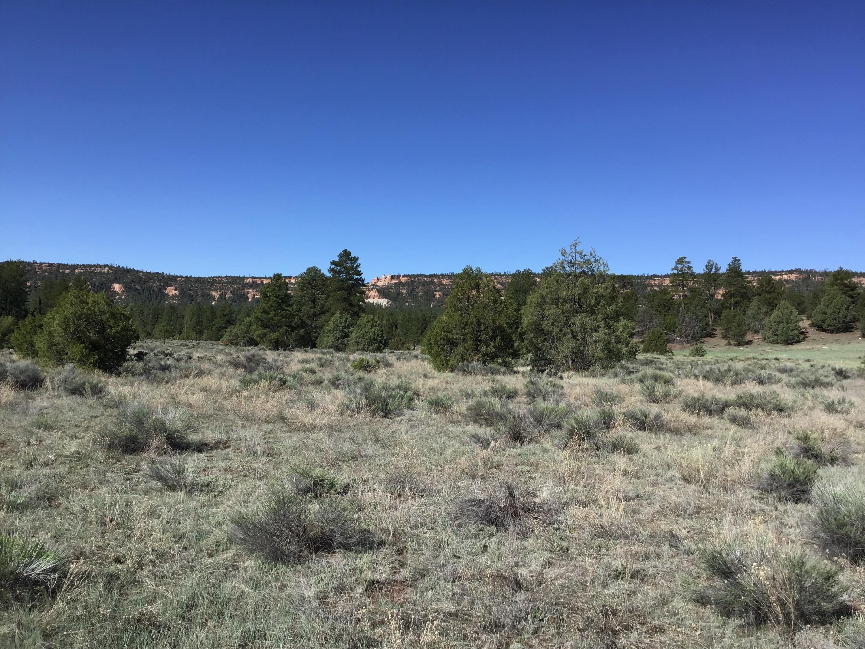 Lot 2 East Elk Road, Ramah, New Mexico image 24