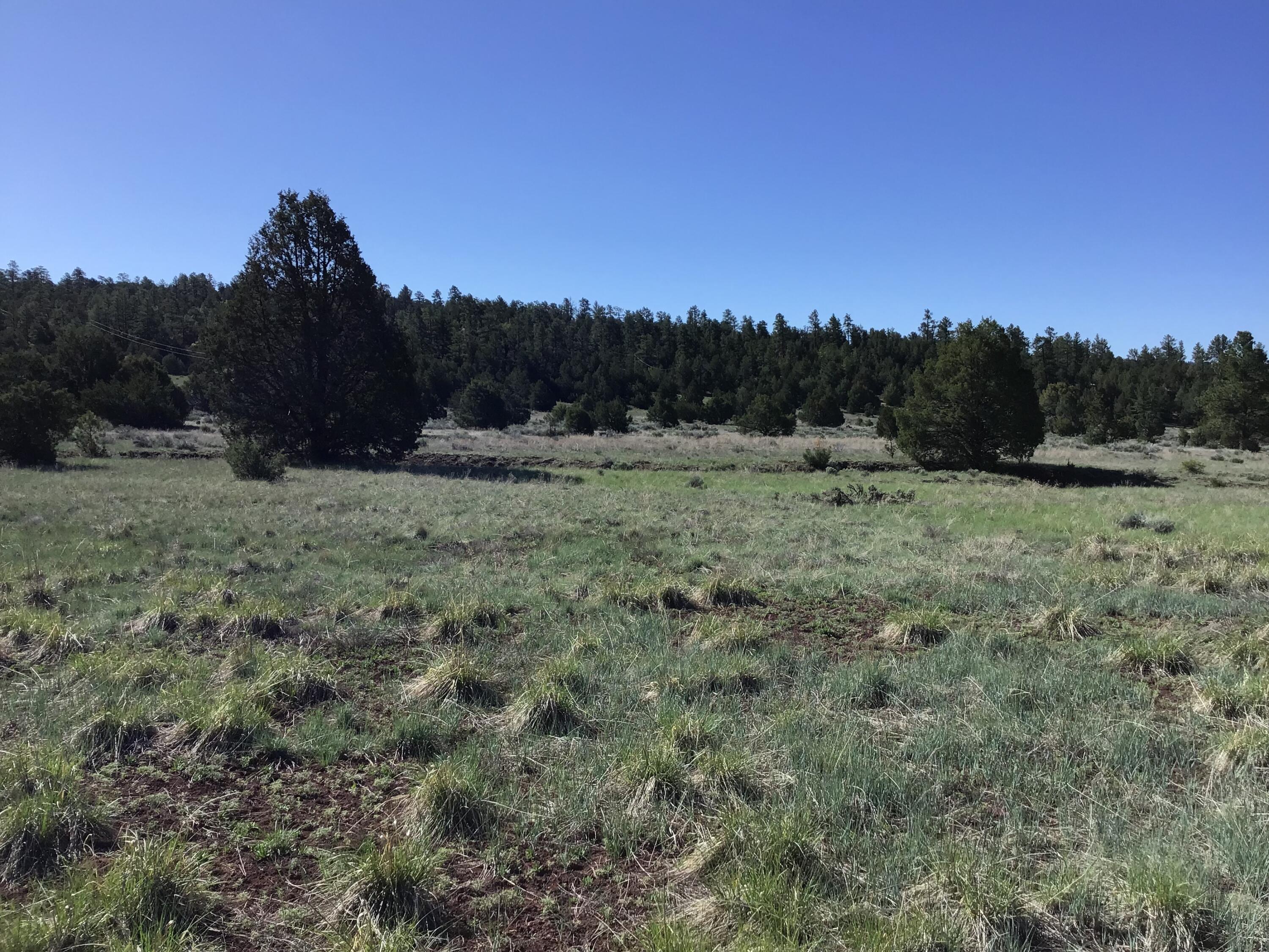 Lot 2 East Elk Road, Ramah, New Mexico image 15