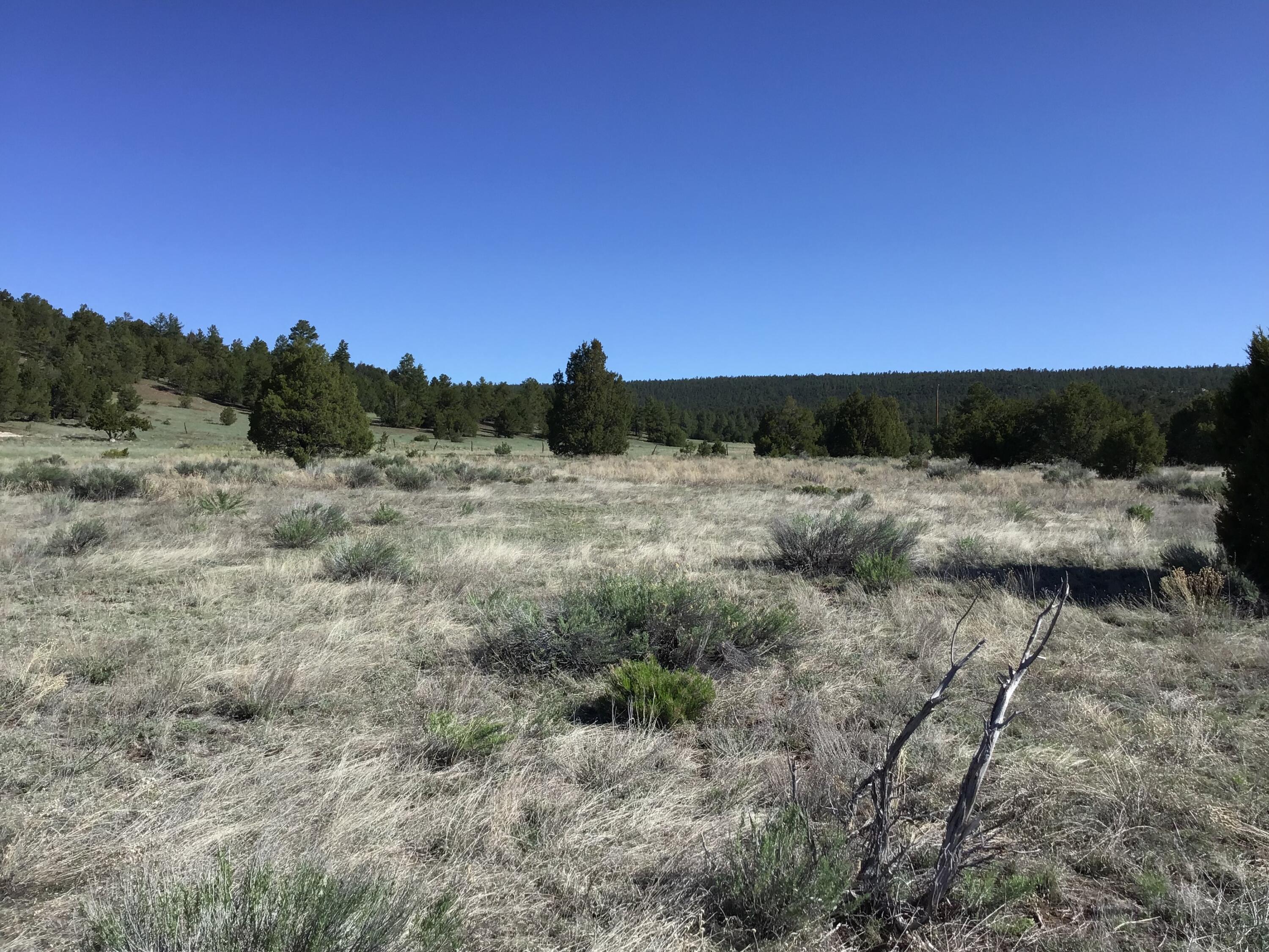 Lot 2 East Elk Road, Ramah, New Mexico image 18