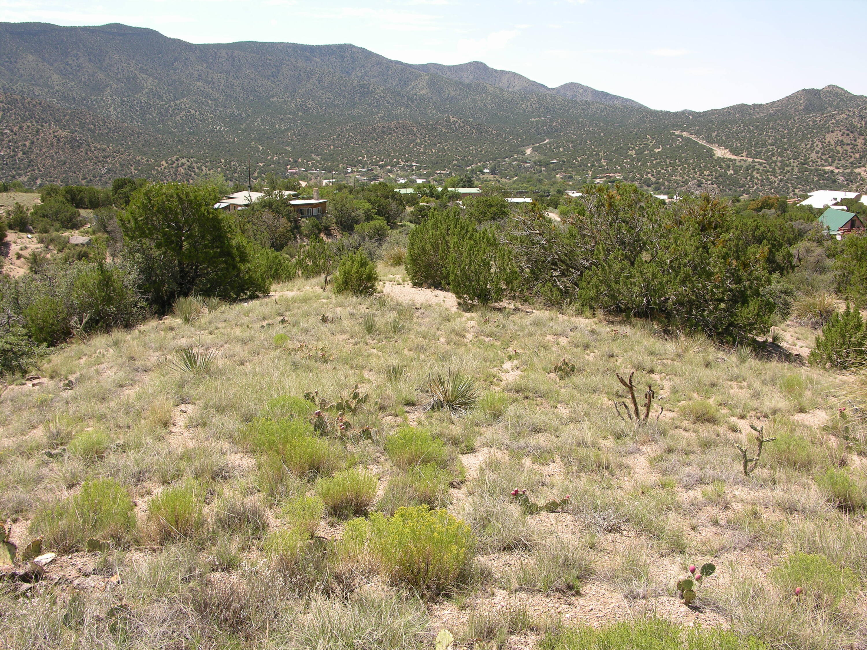 40 Matisse Road, Tijeras, New Mexico image 3