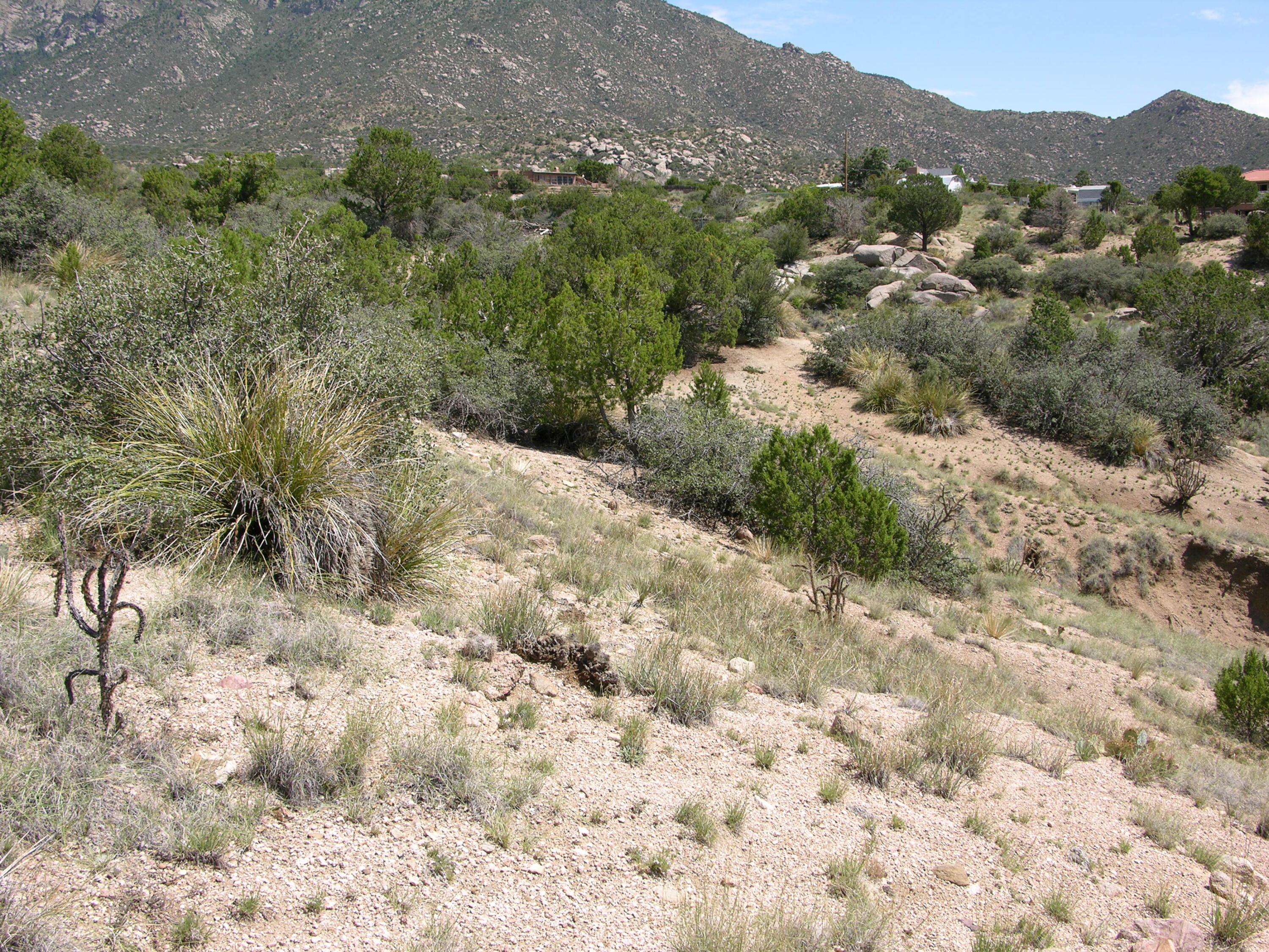 40 Matisse Road, Tijeras, New Mexico image 7