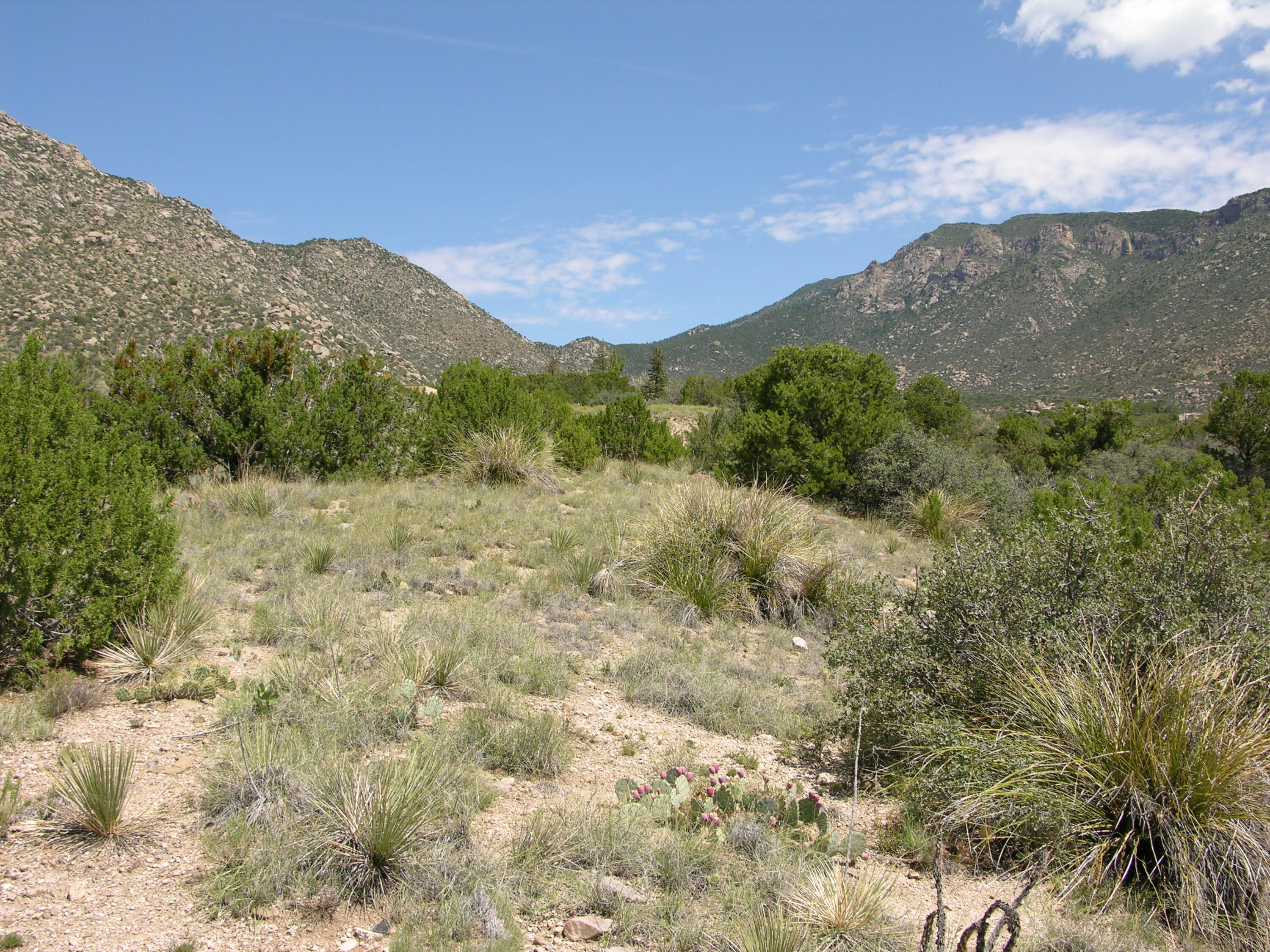 40 Matisse Road, Tijeras, New Mexico image 8