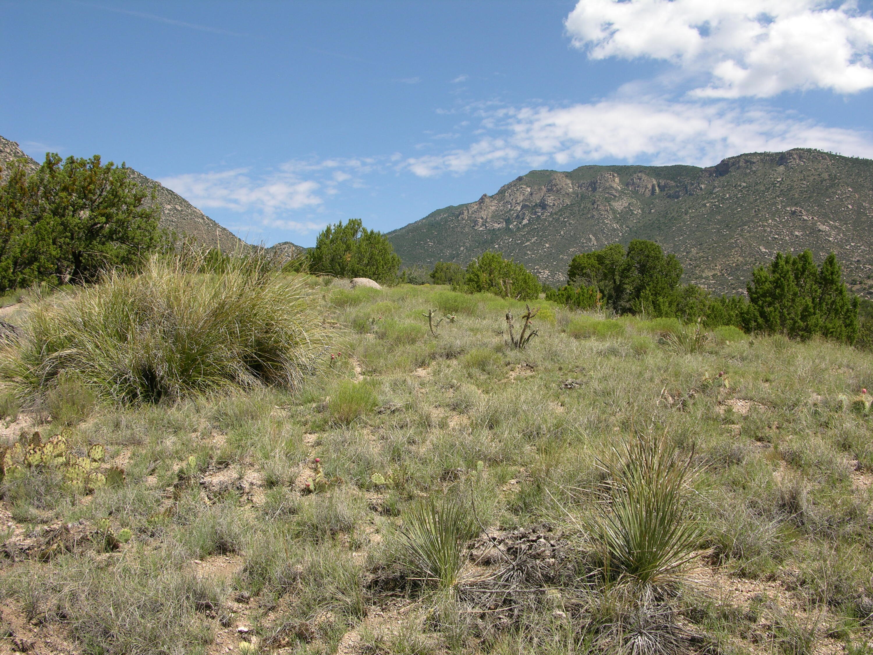 40 Matisse Road, Tijeras, New Mexico image 6