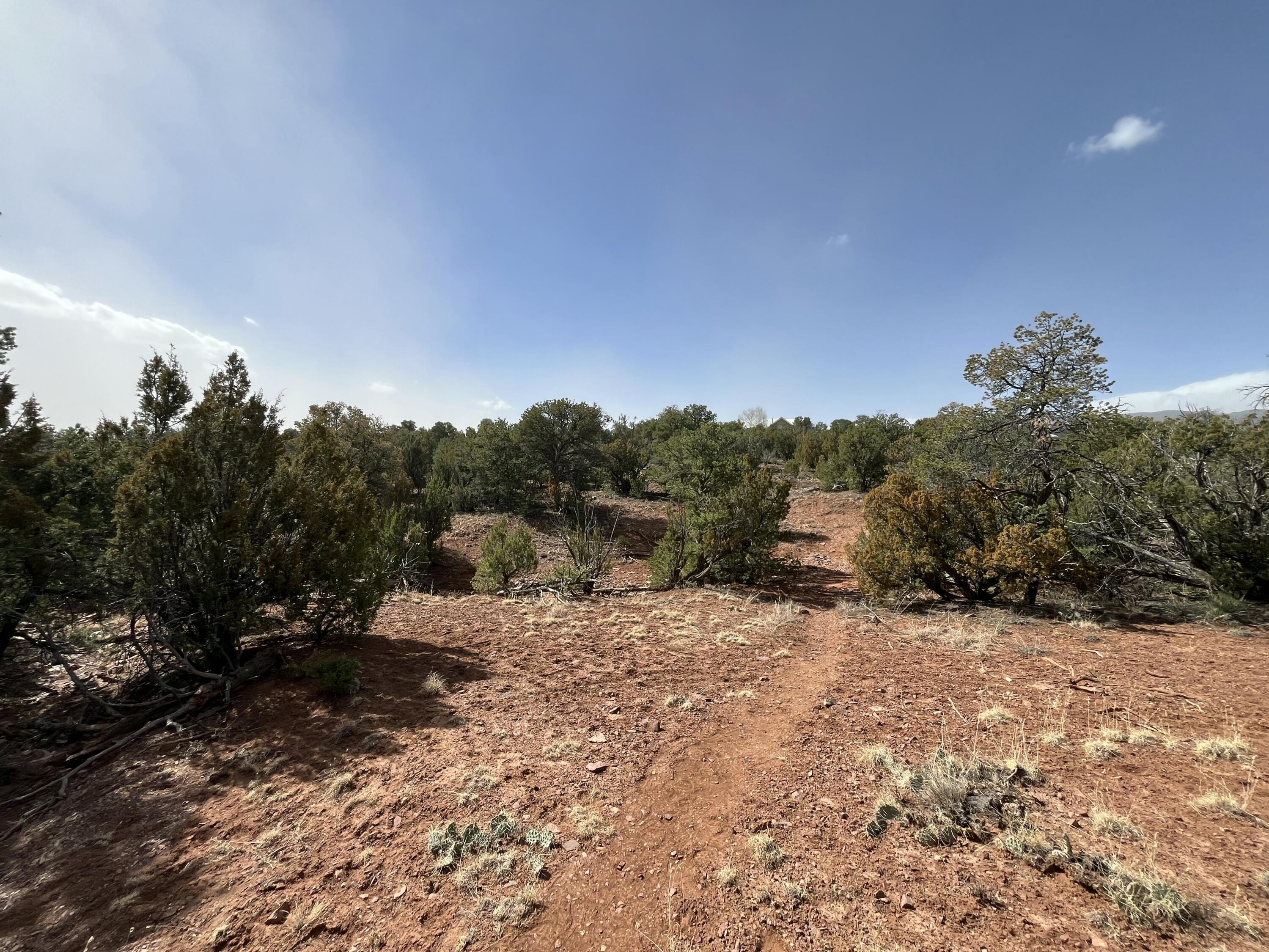 58 Moccasin Trail, Sandia Park, New Mexico image 6