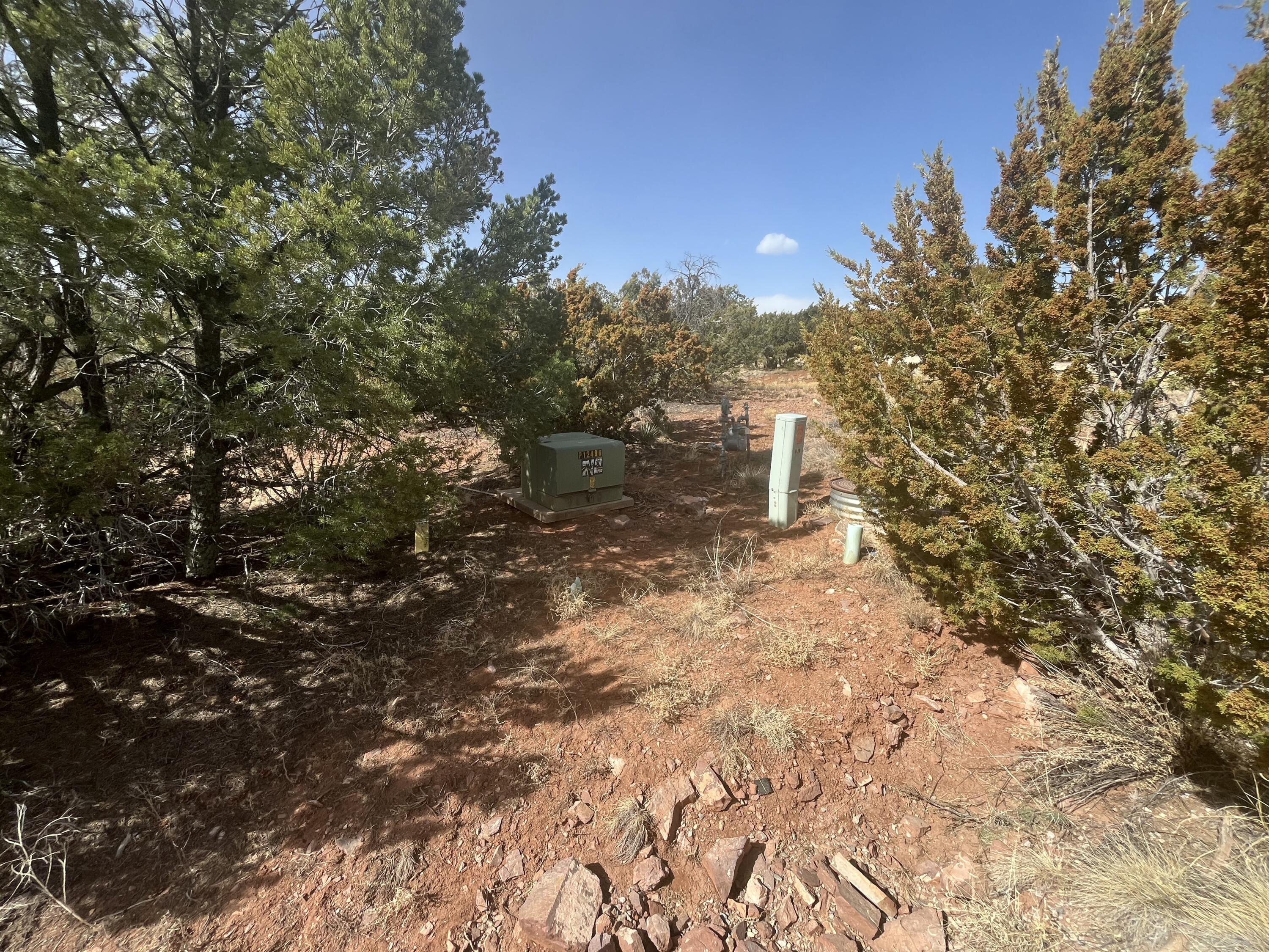 58 Moccasin Trail, Sandia Park, New Mexico image 4