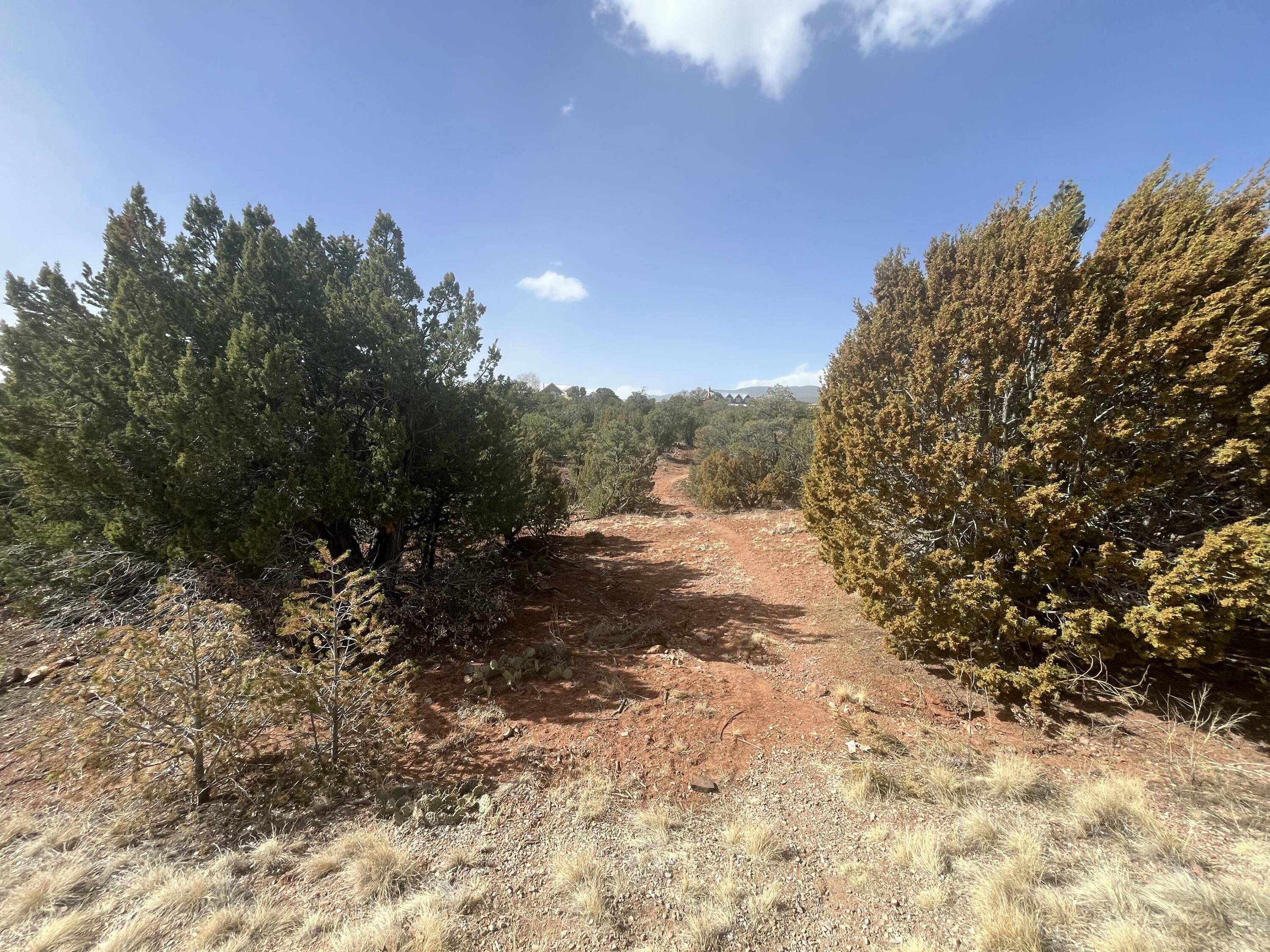 58 Moccasin Trail, Sandia Park, New Mexico image 3