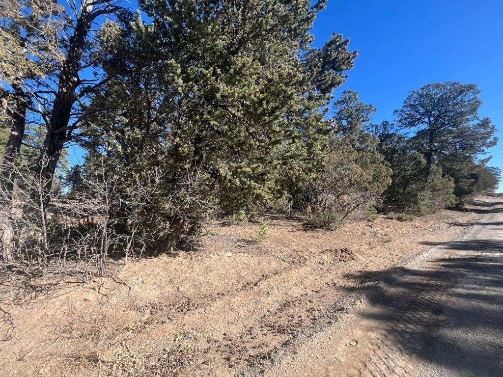 19 Camino Del Norte, Tijeras, New Mexico image 31