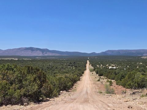 Vacant Land For Sale - County Rd A102 #9<br/> Torrance County, Tajique, NM 87016