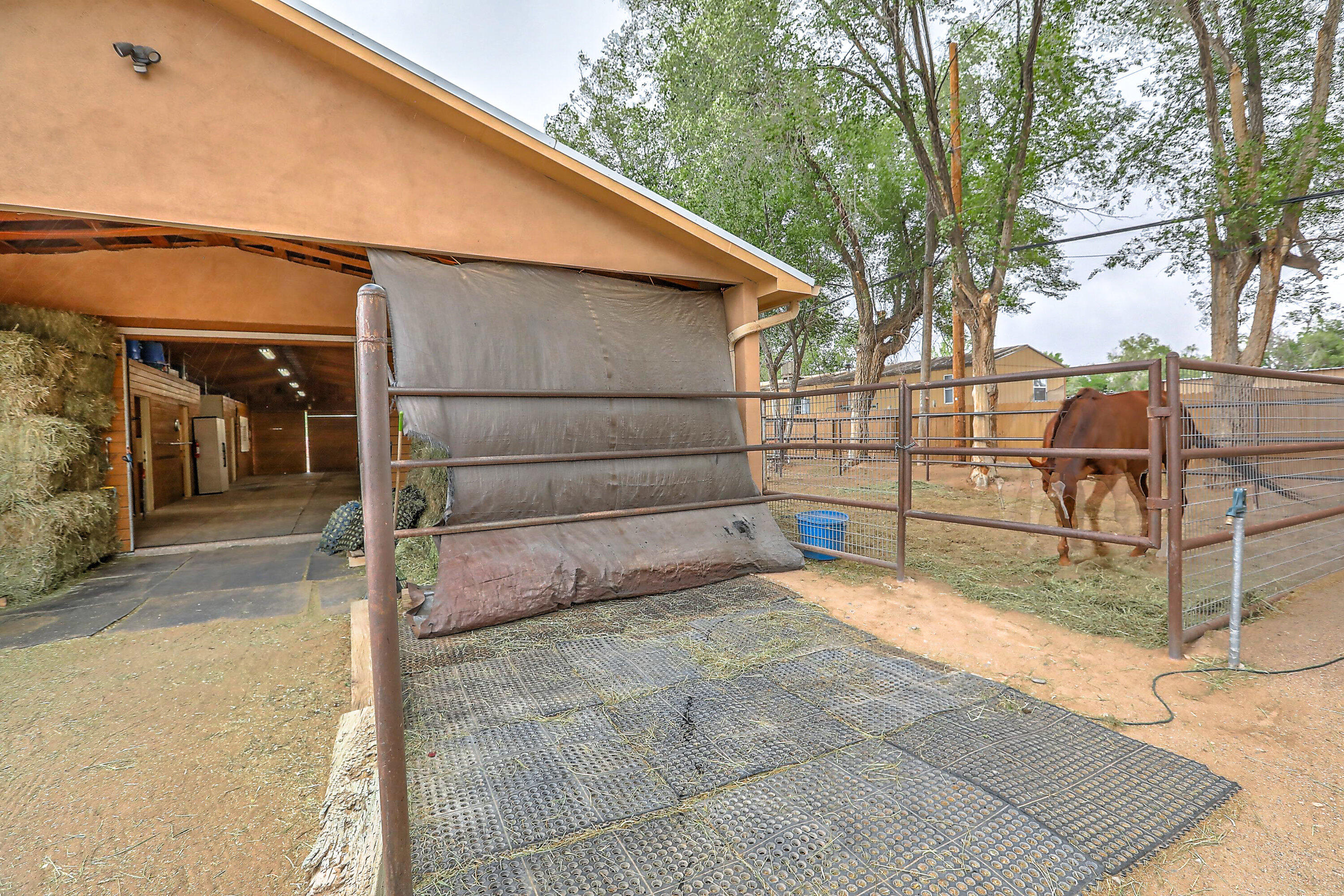 262 Entrada De Los Martinez, Corrales, New Mexico image 12