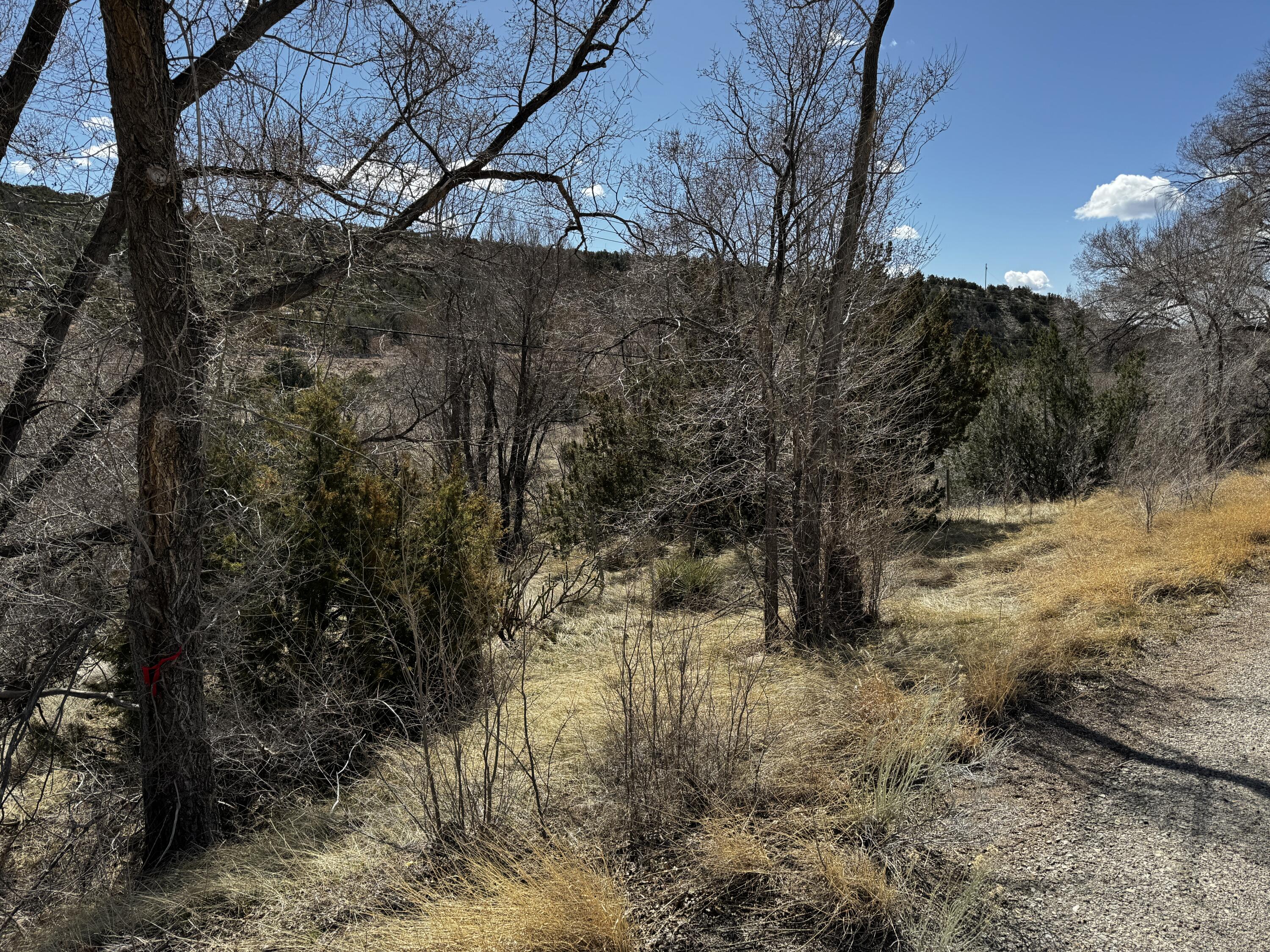 Nm 333, Tijeras, New Mexico image 6