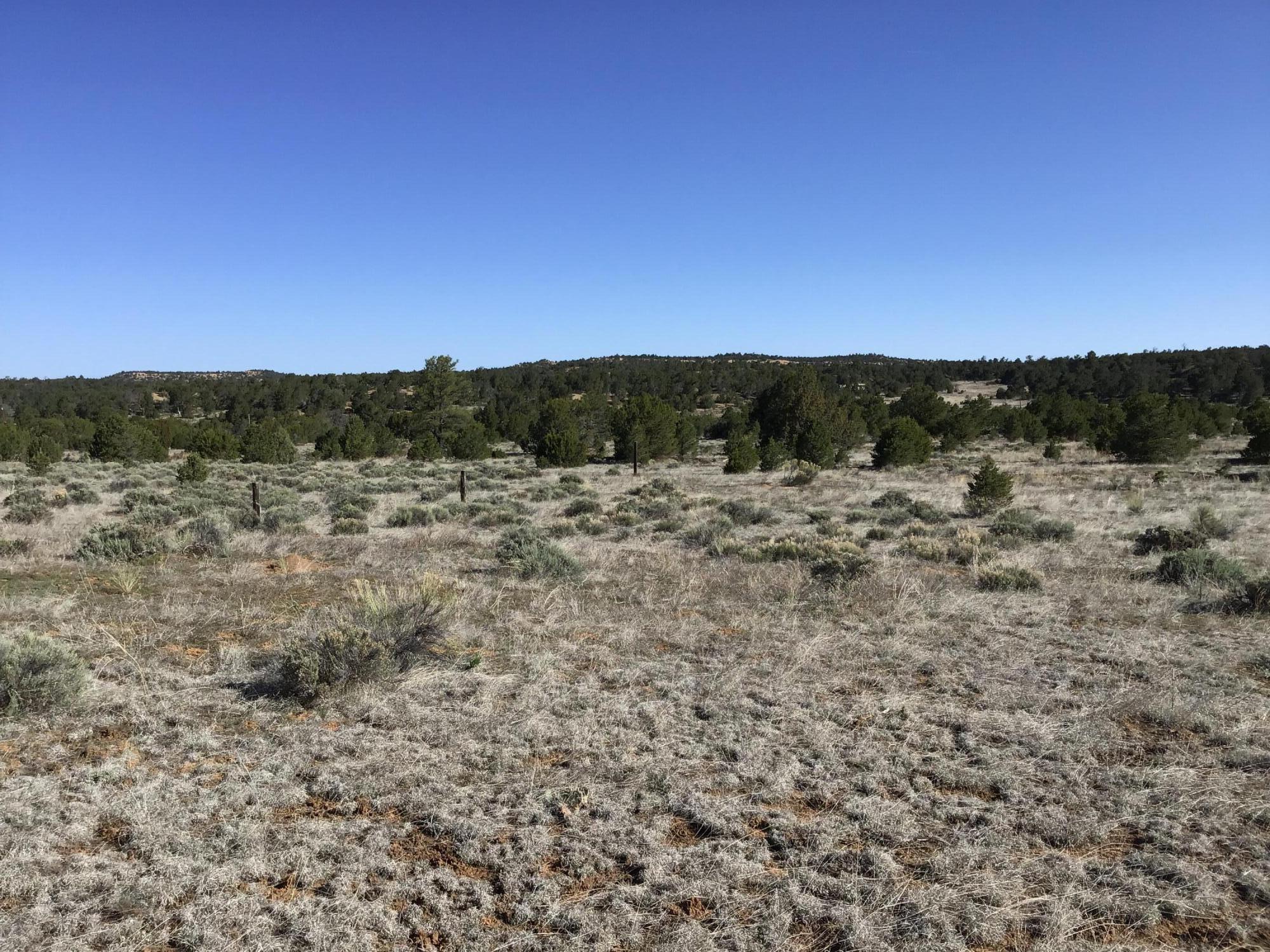 Lot 11 Pinecrest Road, Ramah, New Mexico image 28