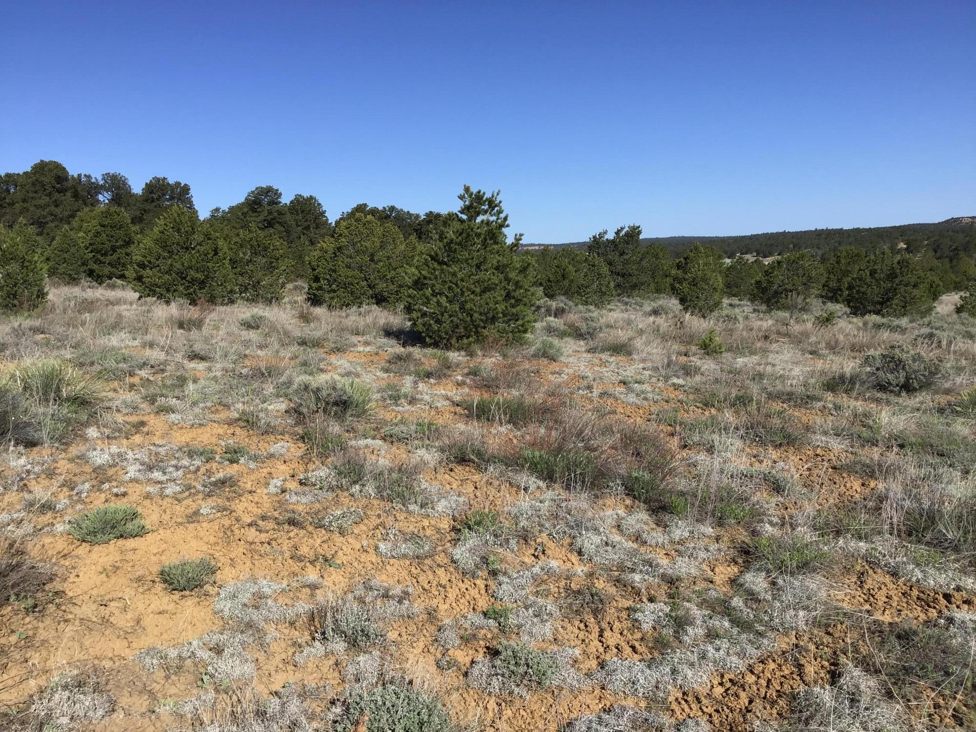 Lot 11 Pinecrest Road, Ramah, New Mexico image 7