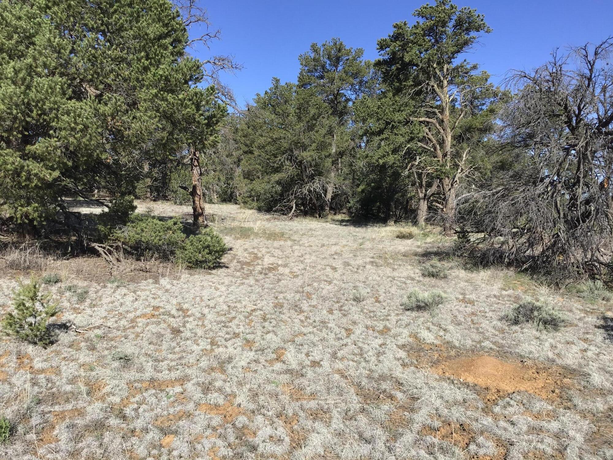 Lot 11 Pinecrest Road, Ramah, New Mexico image 15