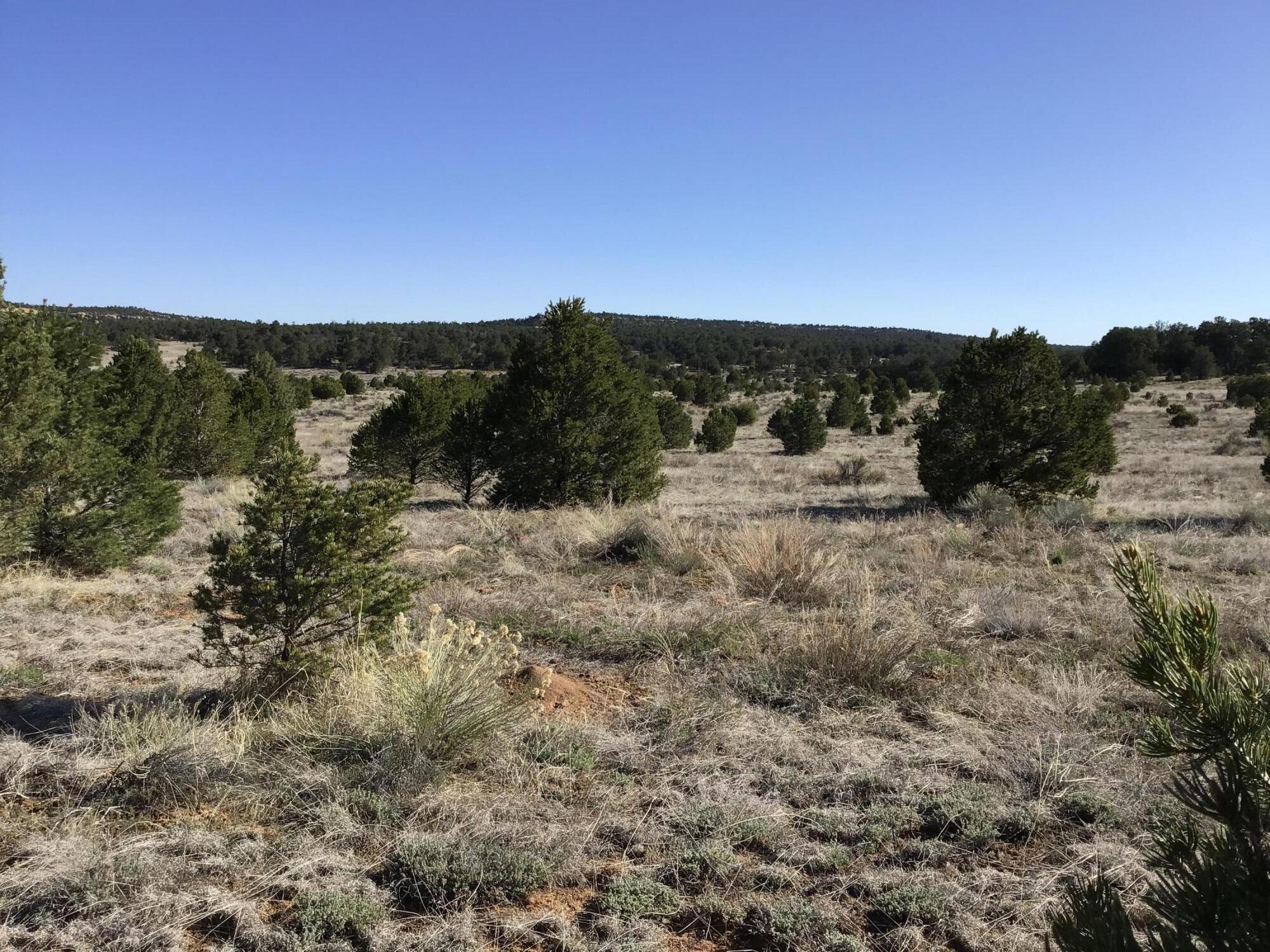 Lot 11 Pinecrest Road, Ramah, New Mexico image 17