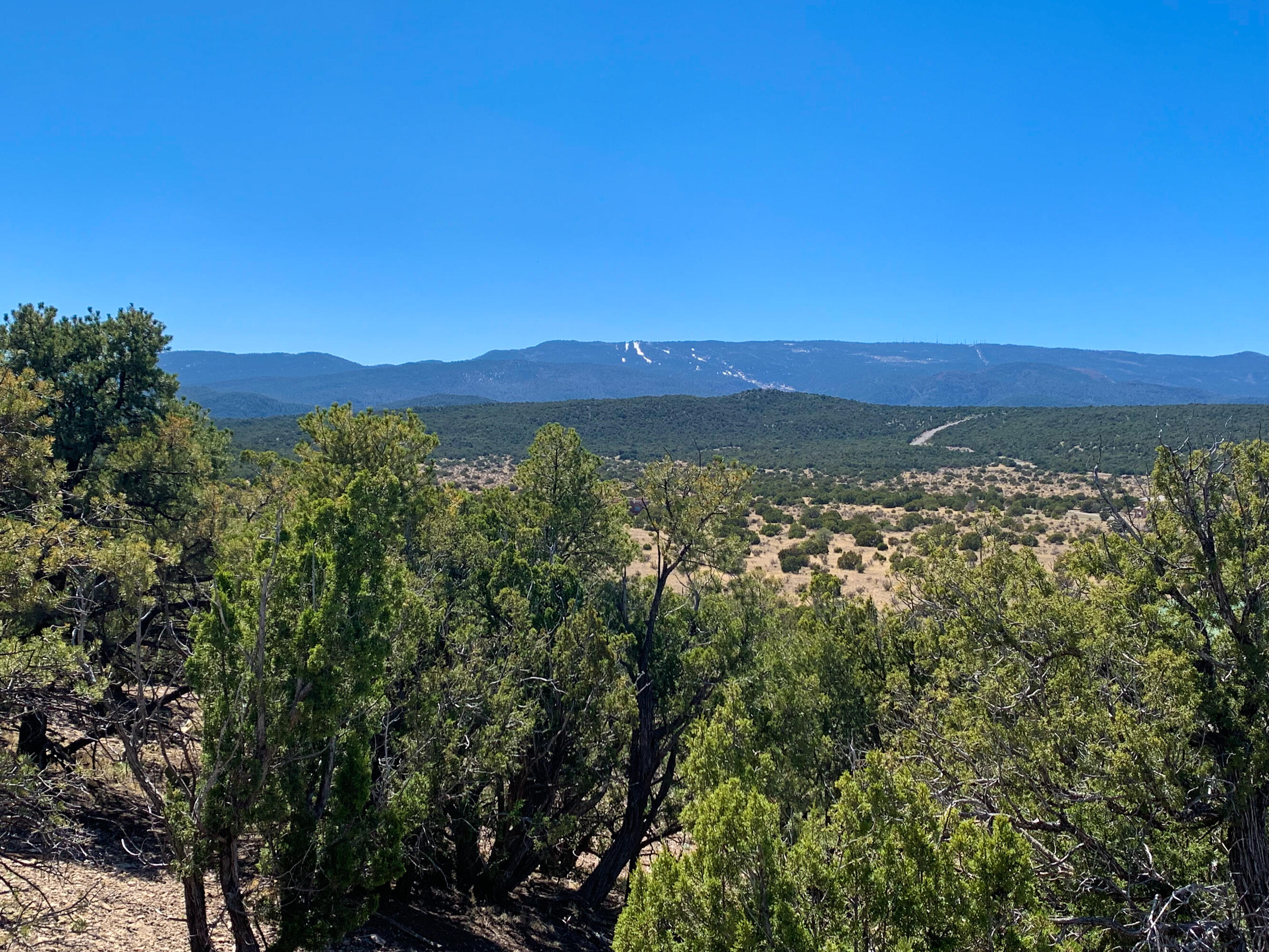 10 Los Cedros, Sandia Park, New Mexico image 25