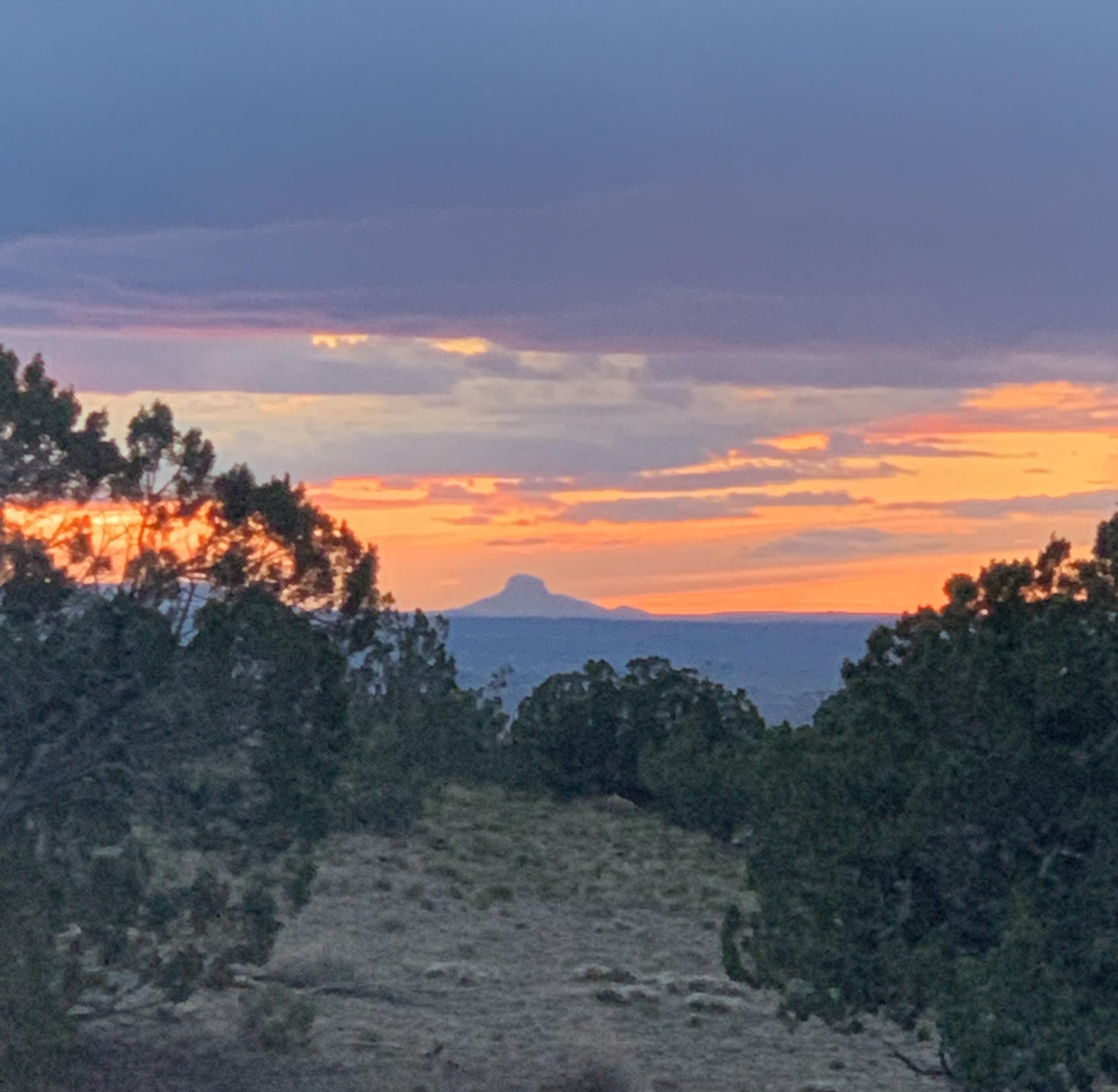 84 Camino Redondo, Placitas, New Mexico image 44
