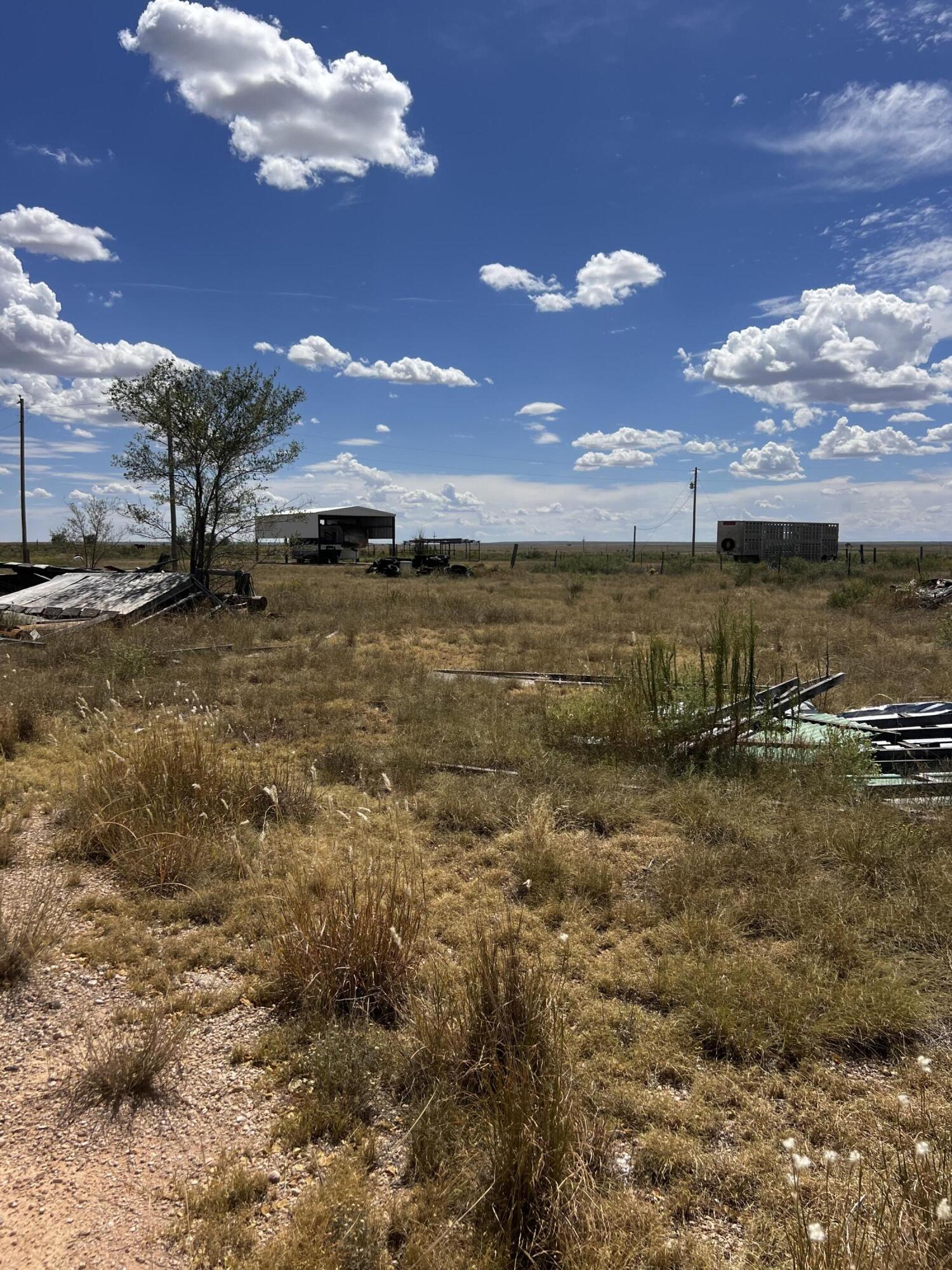 706 S Main Street, Elida, New Mexico image 8