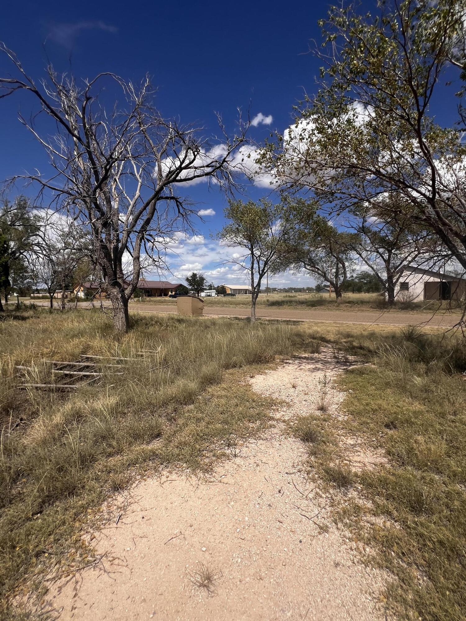 706 S Main Street, Elida, New Mexico image 9
