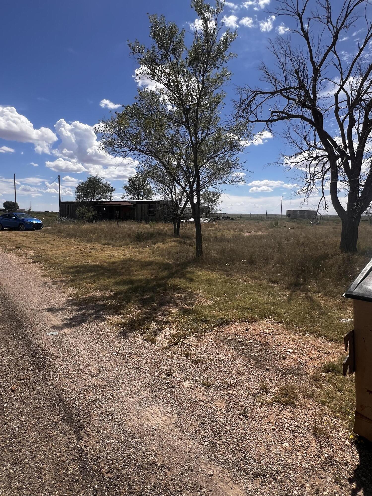 706 S Main Street, Elida, New Mexico image 7