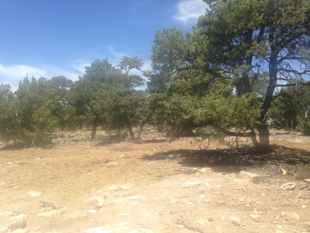 View Tijeras, NM 87059 property