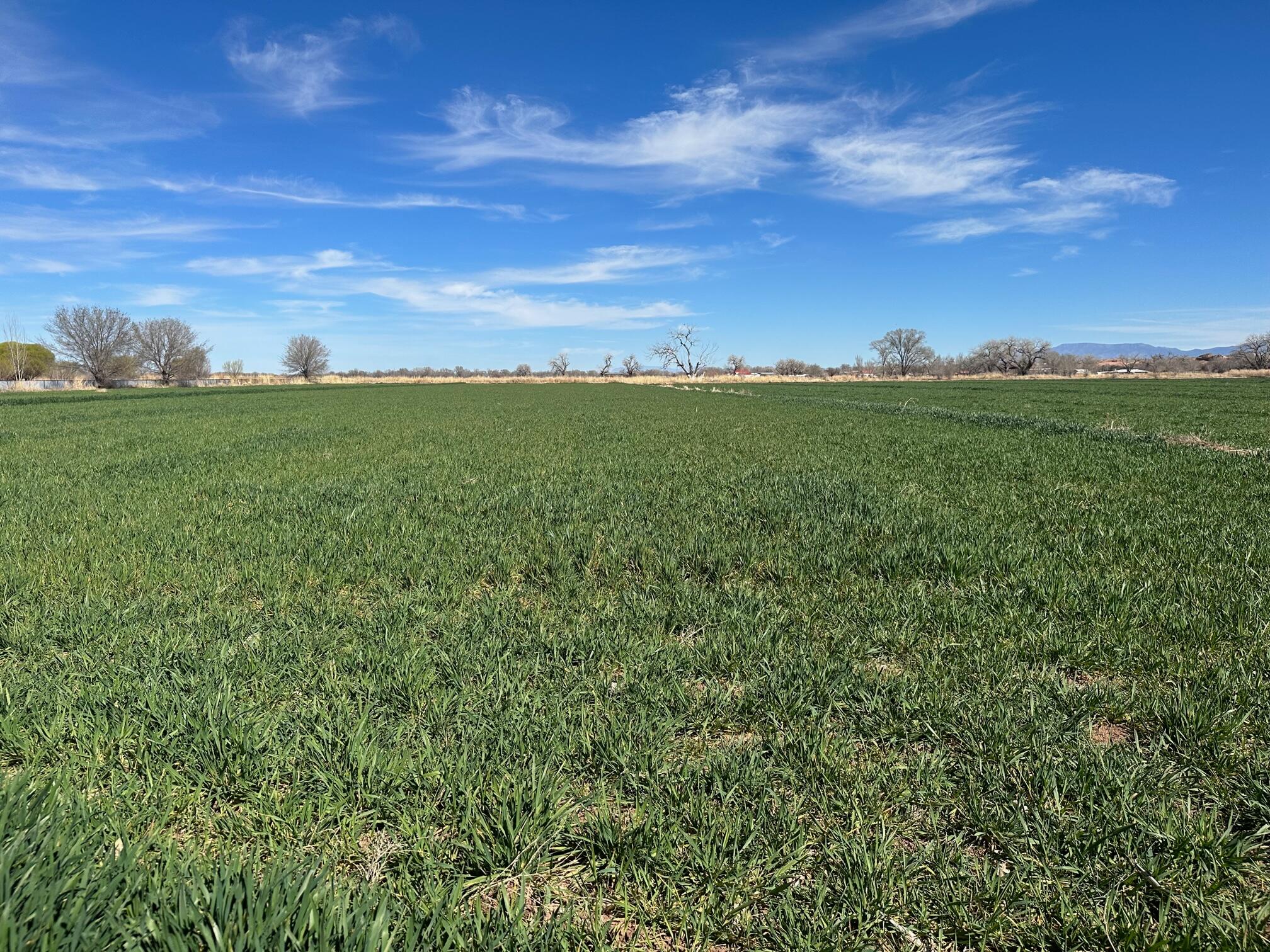 76 Jaramillo Loop, Veguita, New Mexico image 1