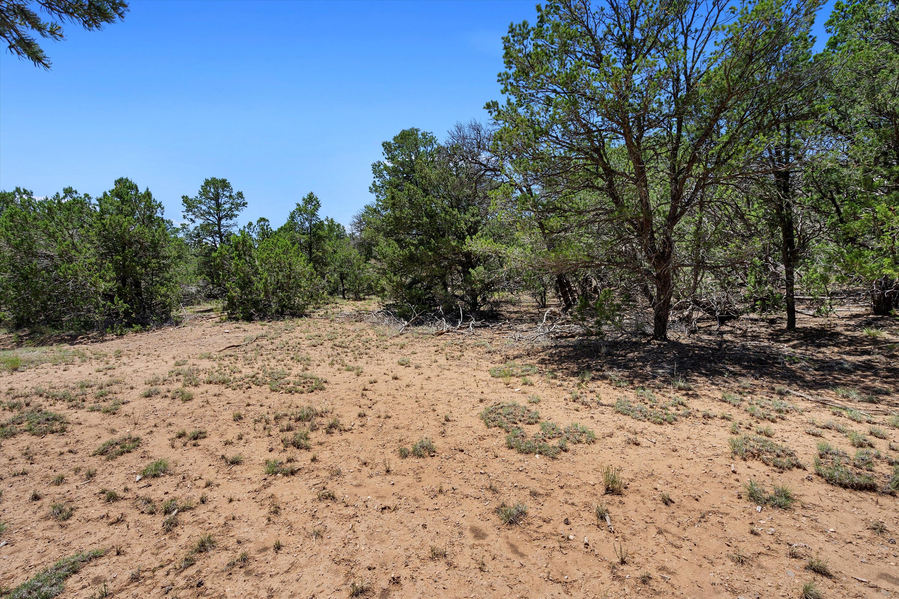 34 Griffin Road, Tijeras, New Mexico image 8