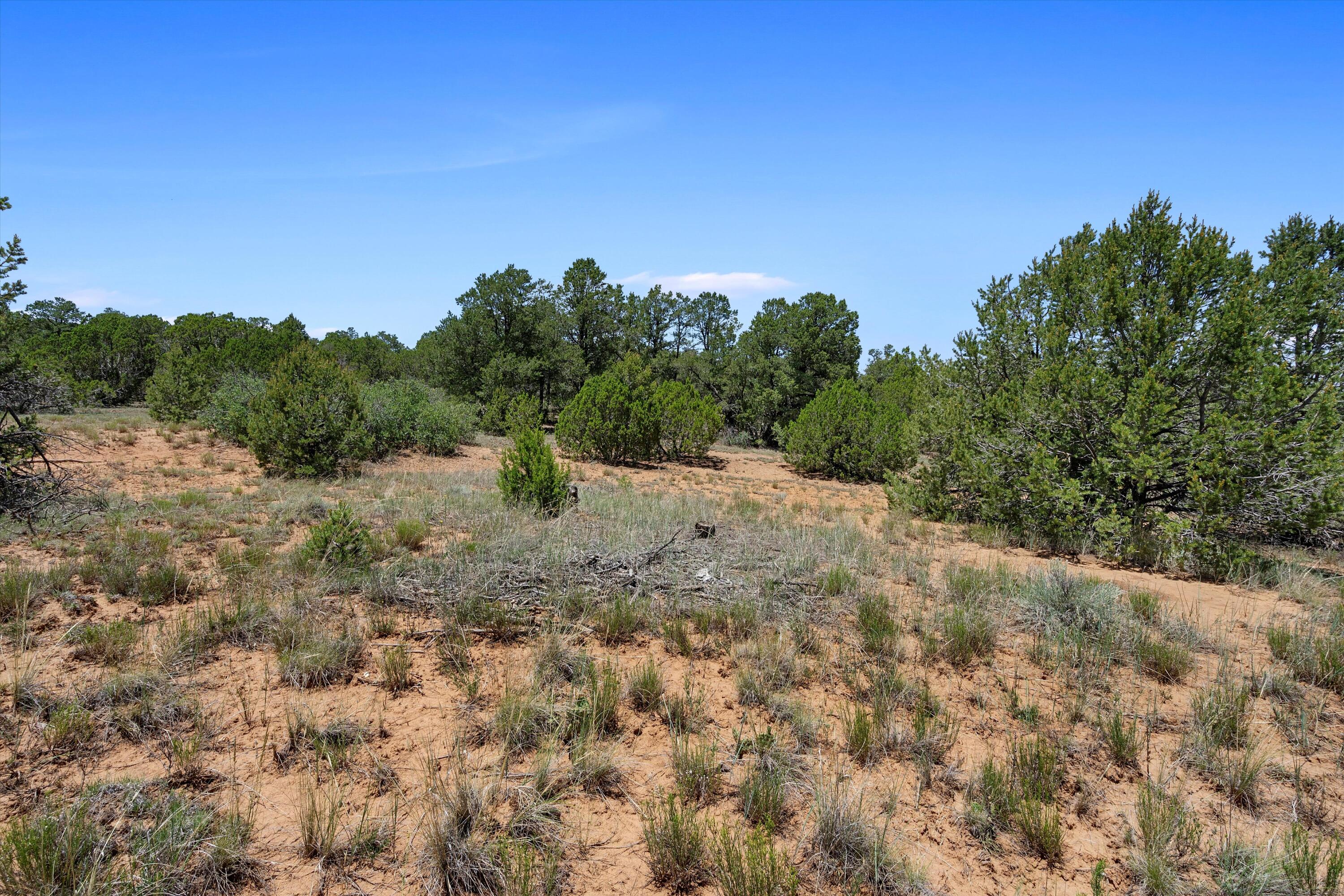 34 Griffin Road, Tijeras, New Mexico image 10