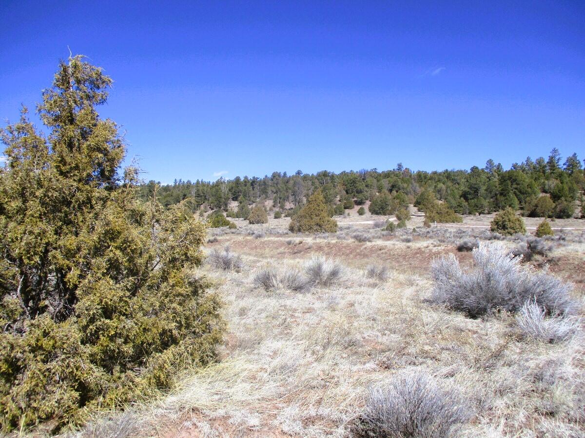 Lot 10 Sagebrush Road, Ramah, New Mexico image 47