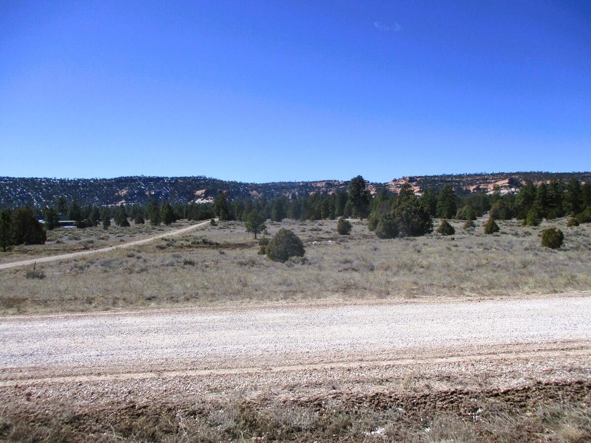 Lot 10 Sagebrush Road, Ramah, New Mexico image 5