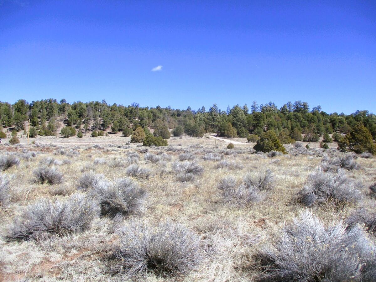 Lot 10 Sagebrush Road, Ramah, New Mexico image 41