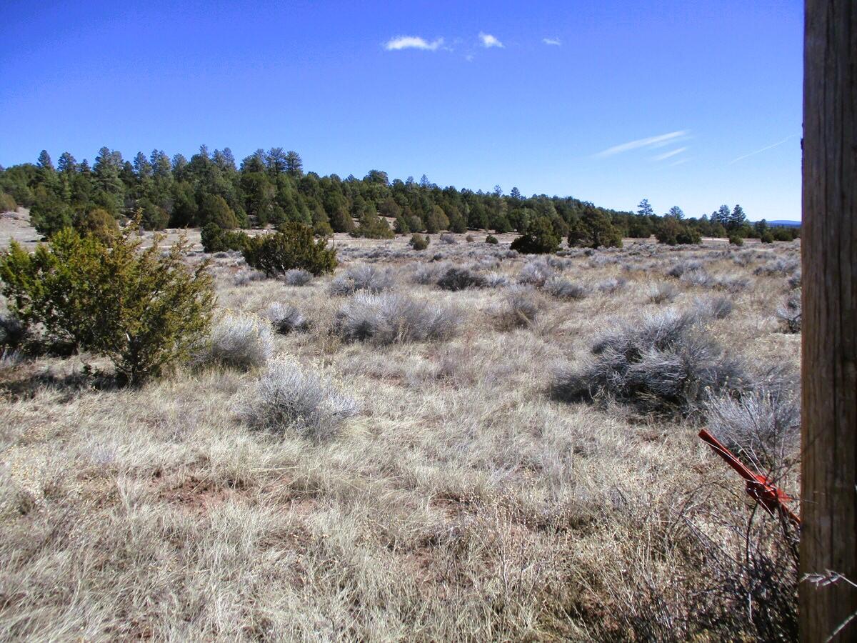 Lot 10 Sagebrush Road, Ramah, New Mexico image 34