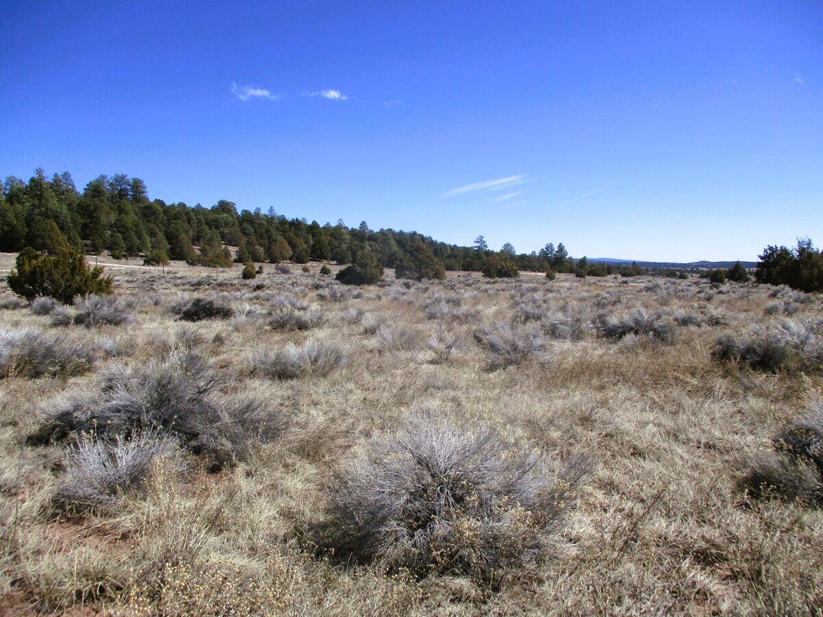 Lot 10 Sagebrush Road, Ramah, New Mexico image 37